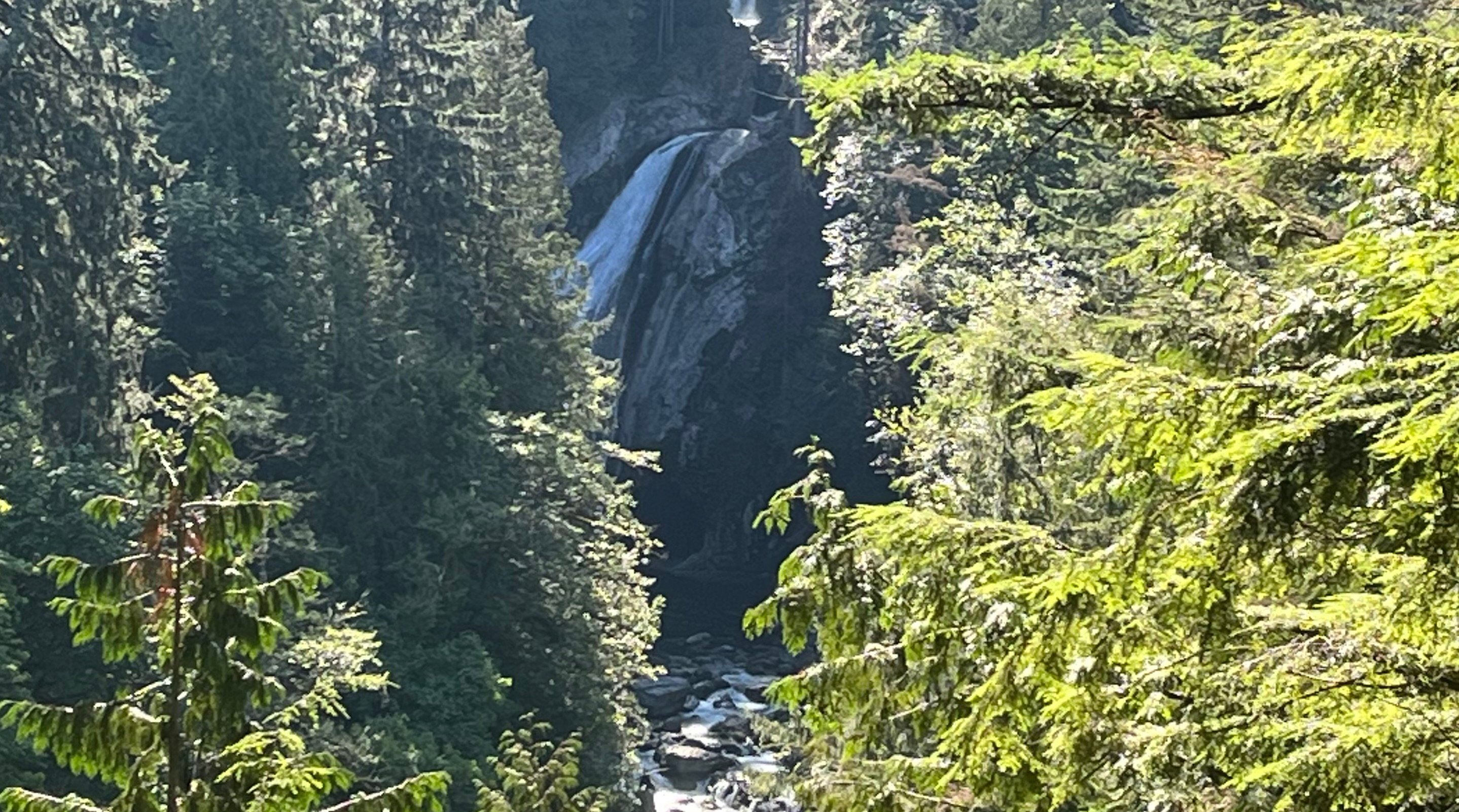 Seattle: Snoqualmie Falls and Twin Falls Guided Tour - 2026 (Verified Reviews)