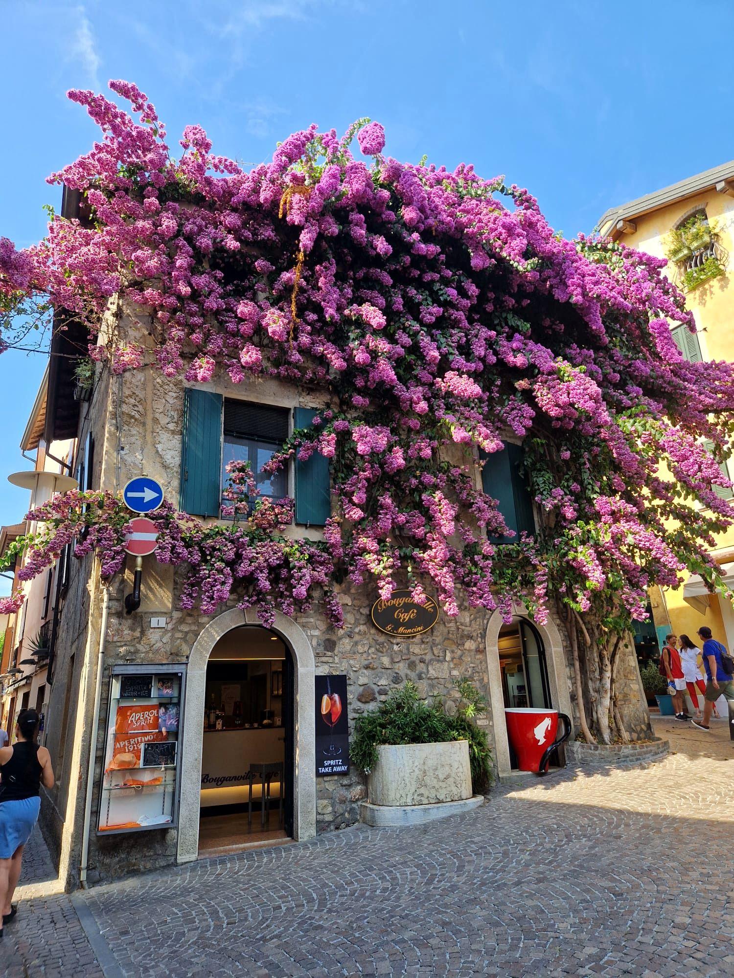 aperitivo tour in Verona — photo 10