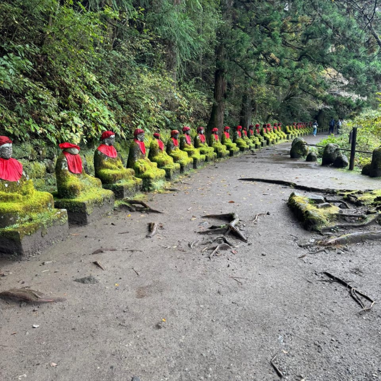 Private Nikko Day Tour from Tokyo – Fully Customizable