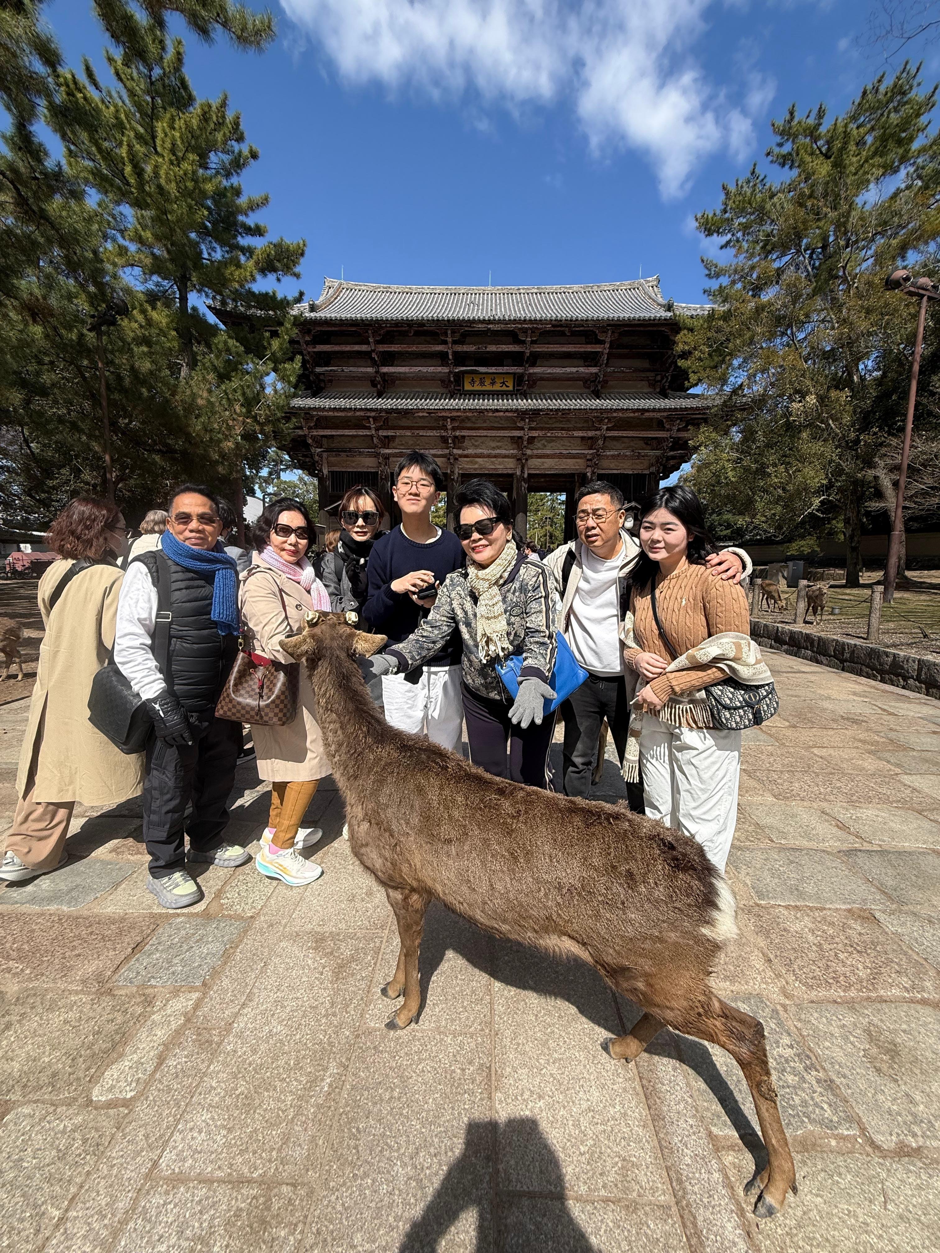 Osaka Custom Private Tour by Luxury Vehicle