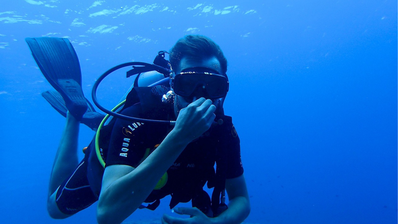 Catalina Island Caribbean Diving Adventure