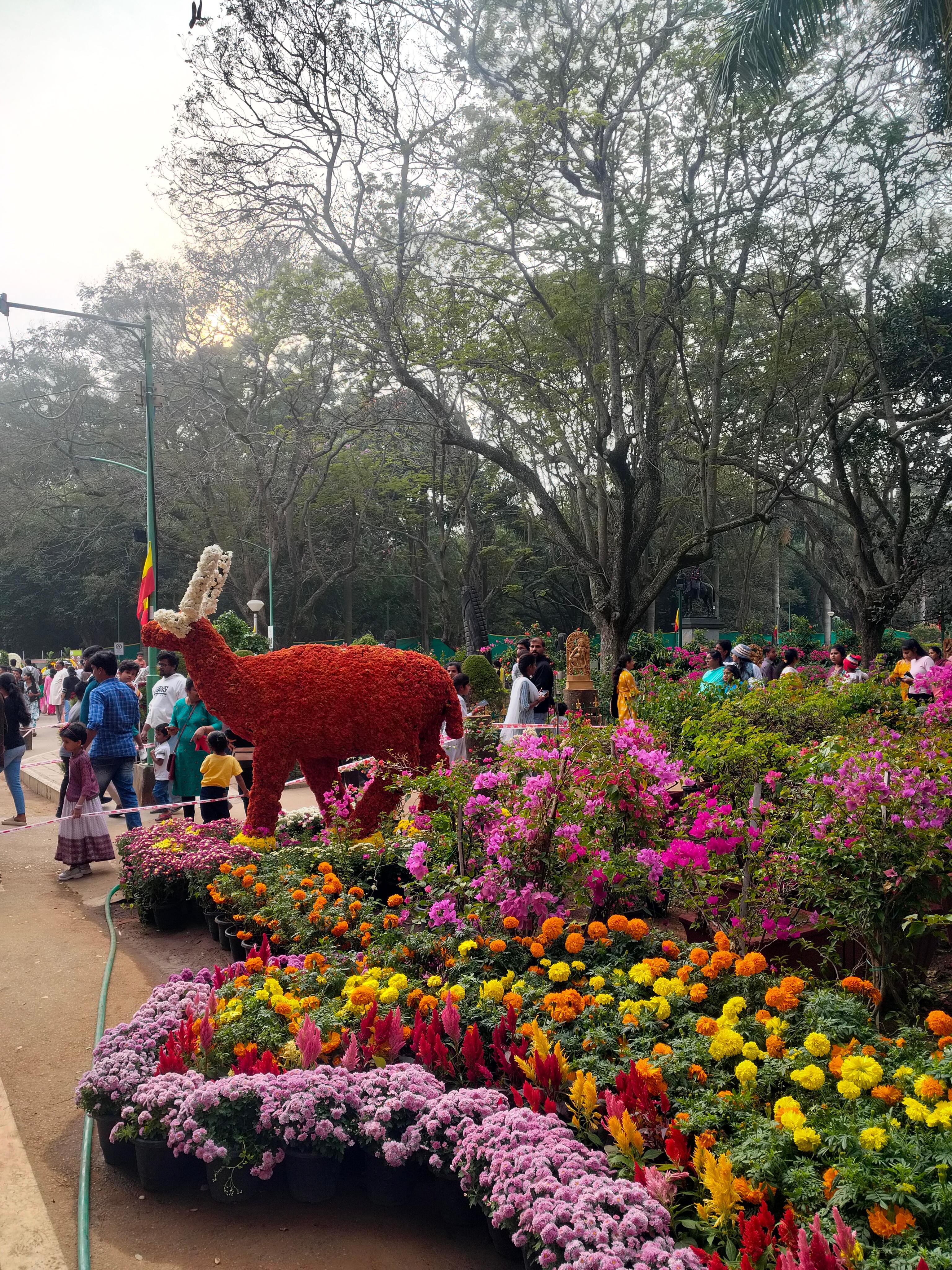 Cubbon Park Heritage and Nature Walking Tour