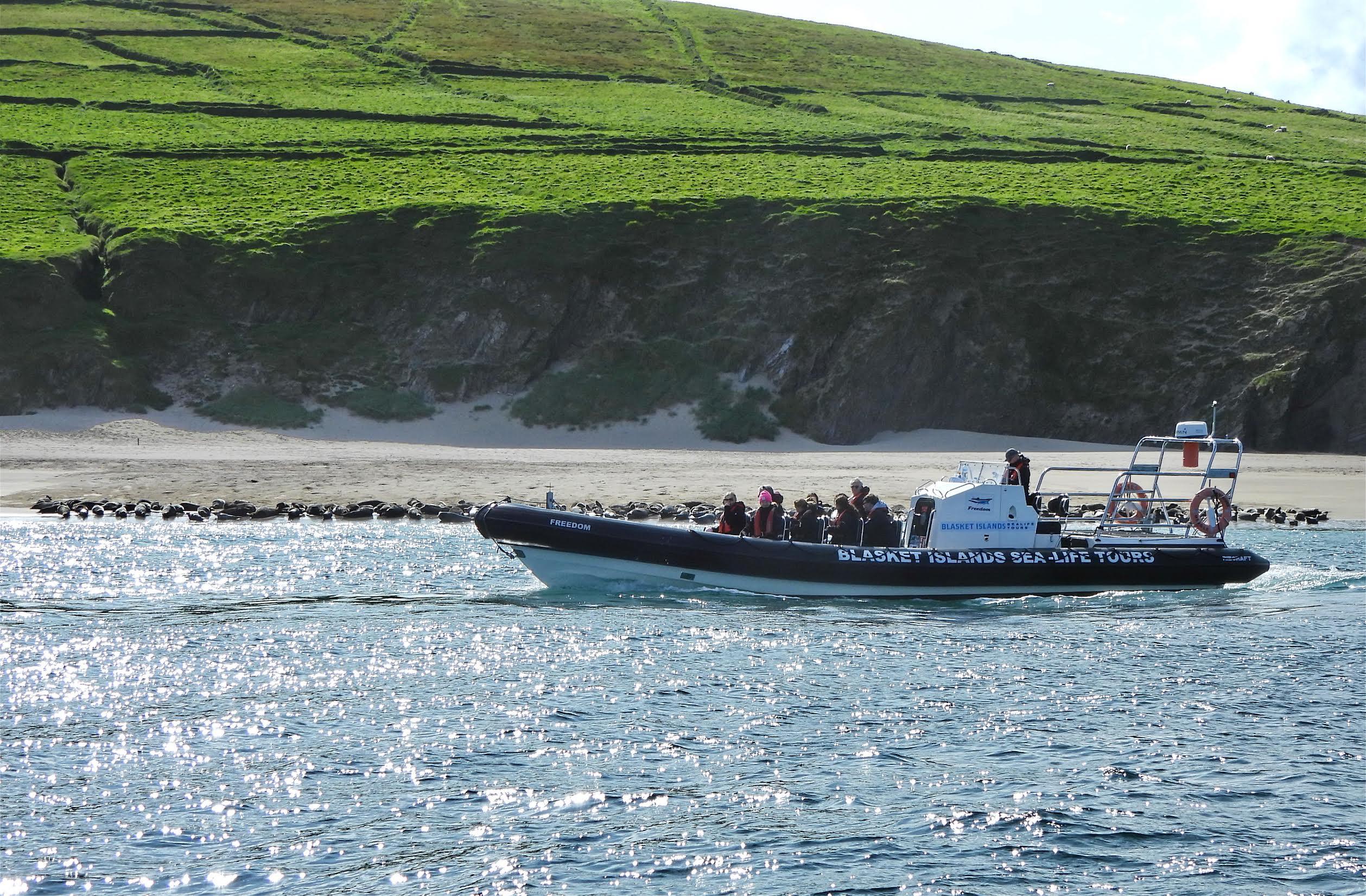Blasket Islands Marine Wildlife Boat Experience