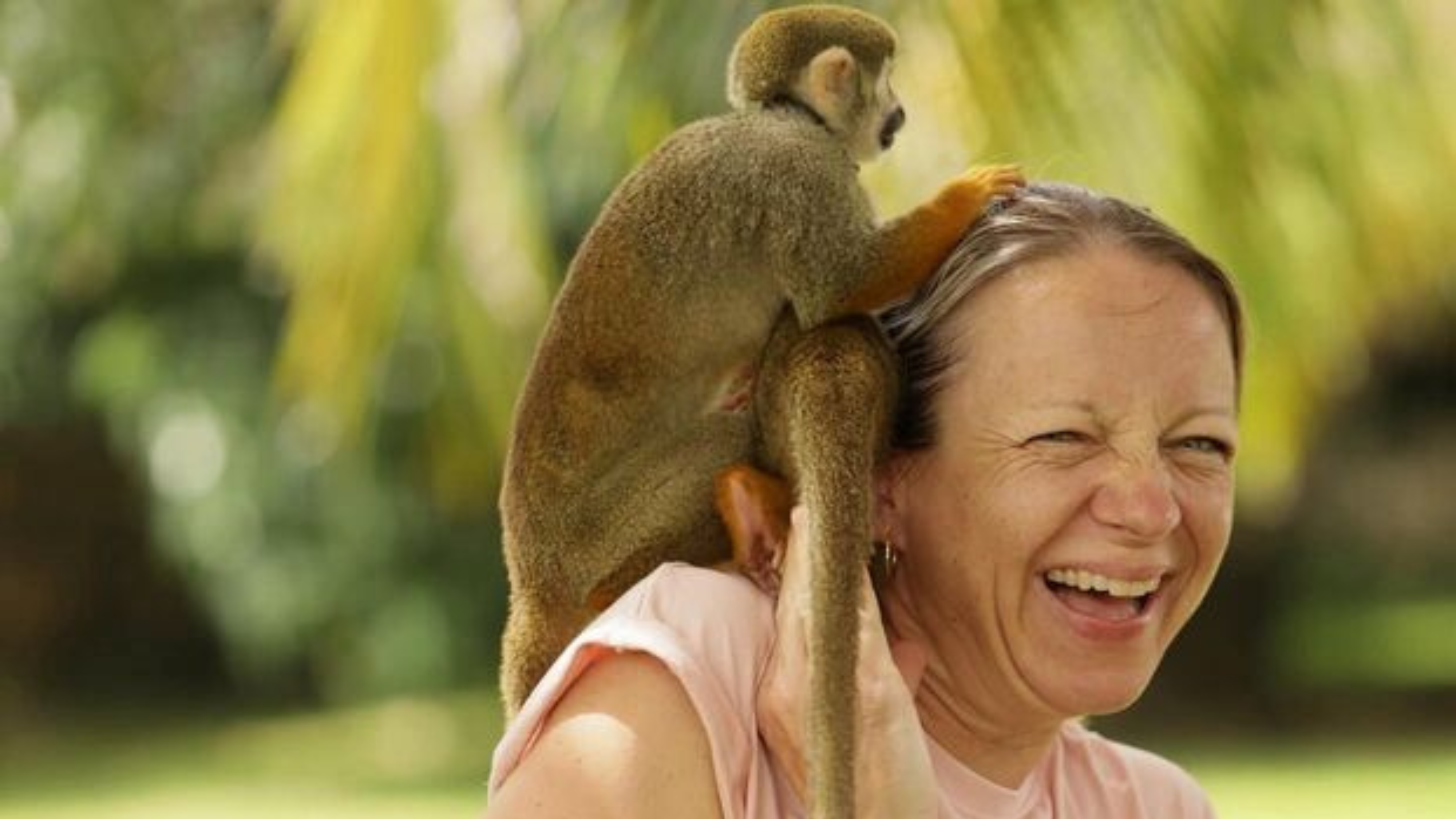Punta Cana Patron Monkey Sanctuary