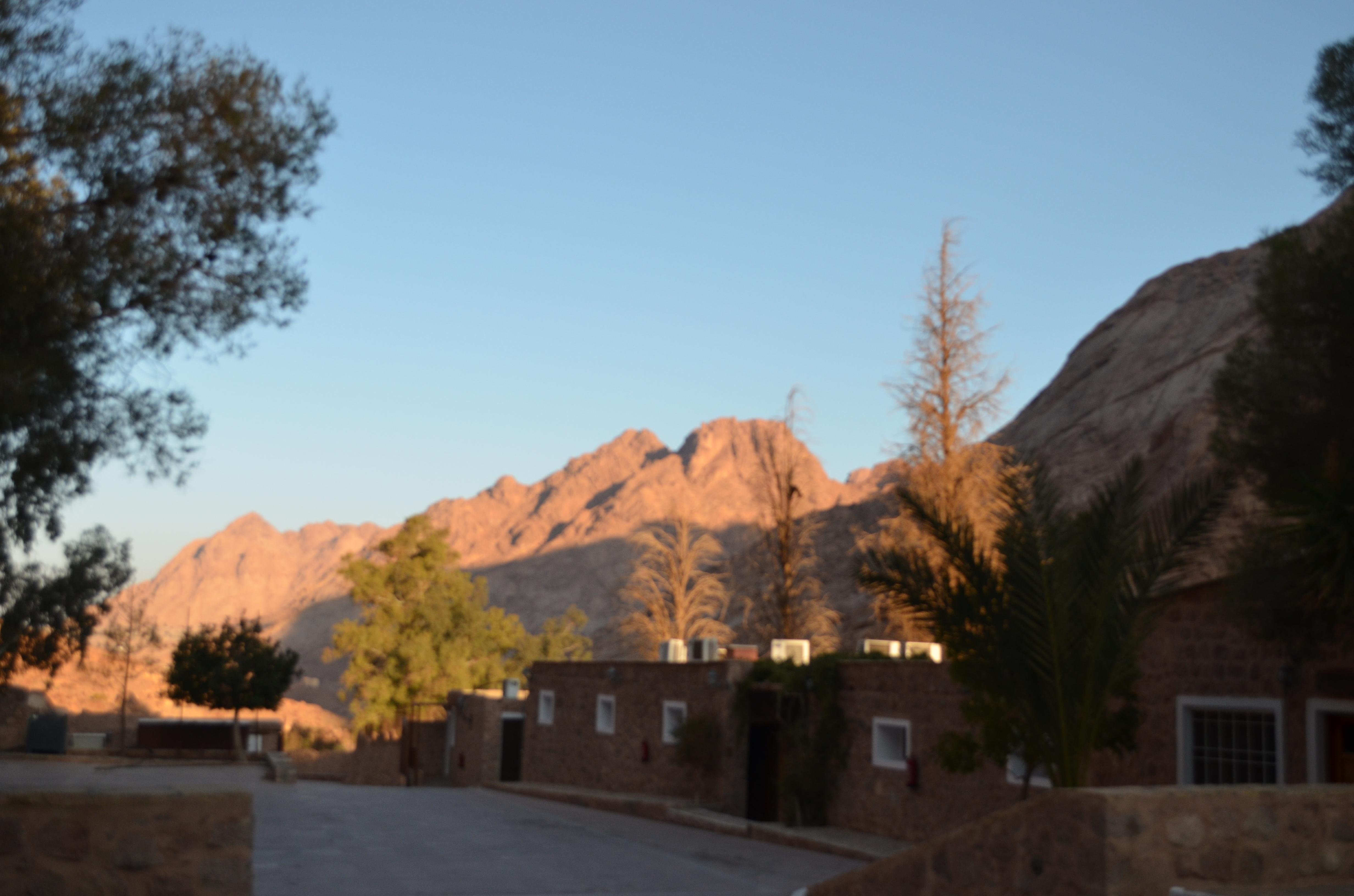 Sharm El Sheikh: Private Day Tour to Saint Catherine's Monastery