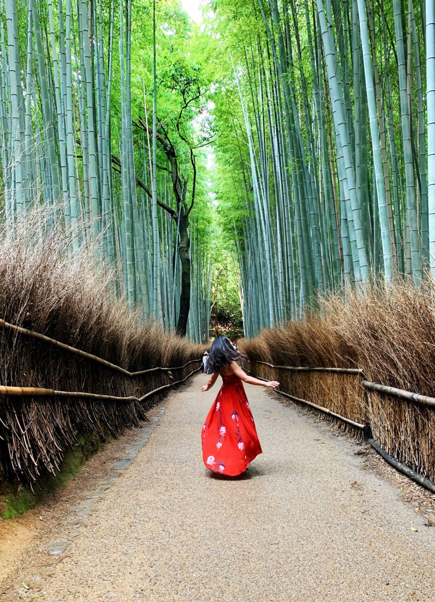 Kyoto Private Day Tour with Guide & Vehicle