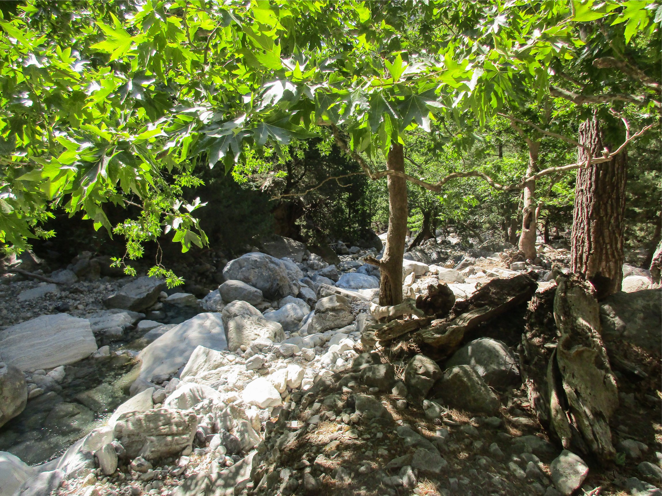 Samaria Gorge hike Crete — Xyloskalo descent, Iron Gates Sideroportes, kri-kri ibex, Agia Roumeli Libyan Sea — image 37