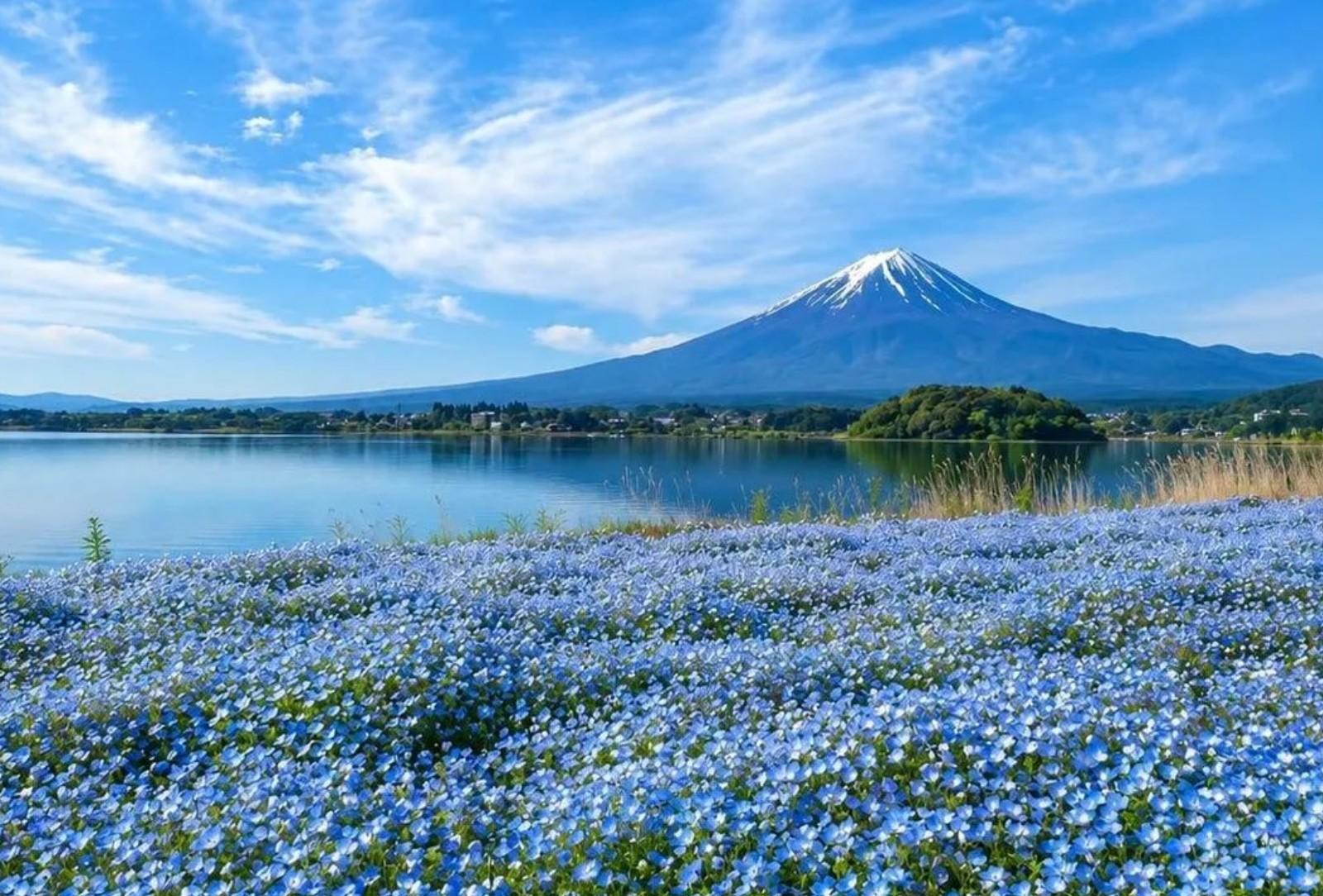 Private Mt. Fuji Day Tour from Tokyo