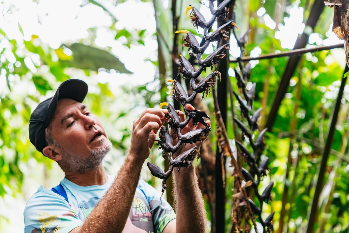 La Fortuna: Waterfall, Volcano & Hot Springs Full-Day Tour