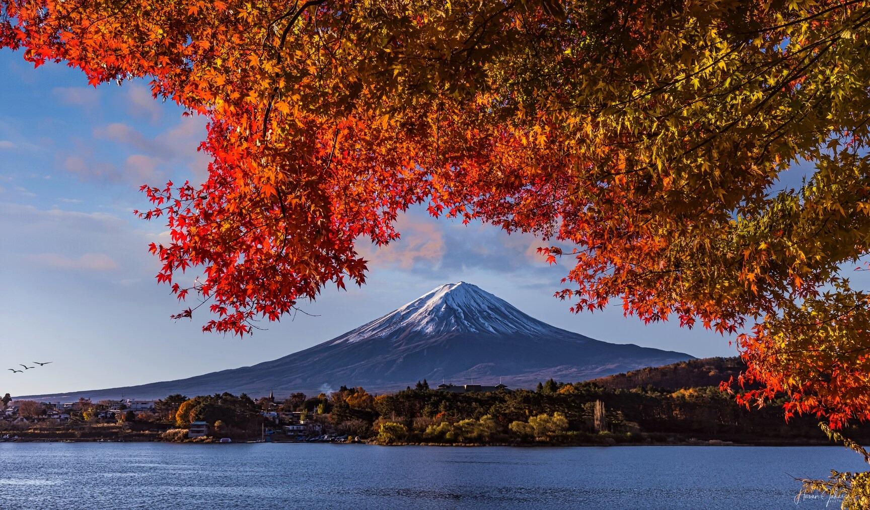 Mt. Fuji Seasonal Discovery: Fruit Picking & Scenic Train Day Tour