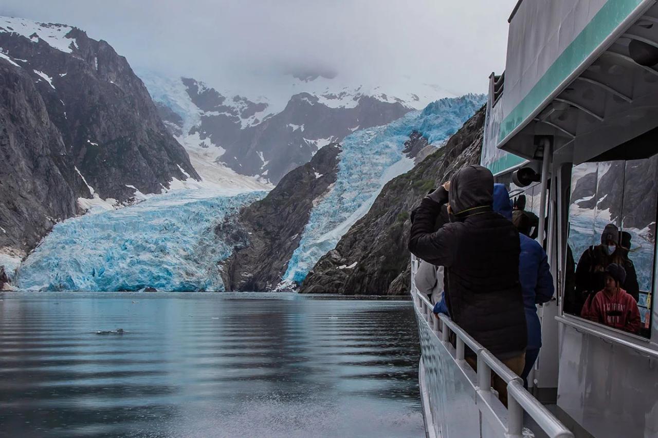 Seward: Full-Day Northwestern Fjord Glacier & Wildlife Tour