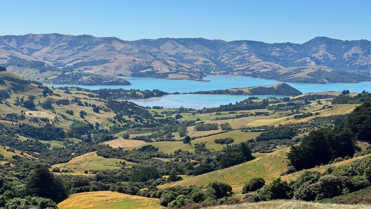 Christchurch to Akaroa Private Volcanic Peninsula Tour