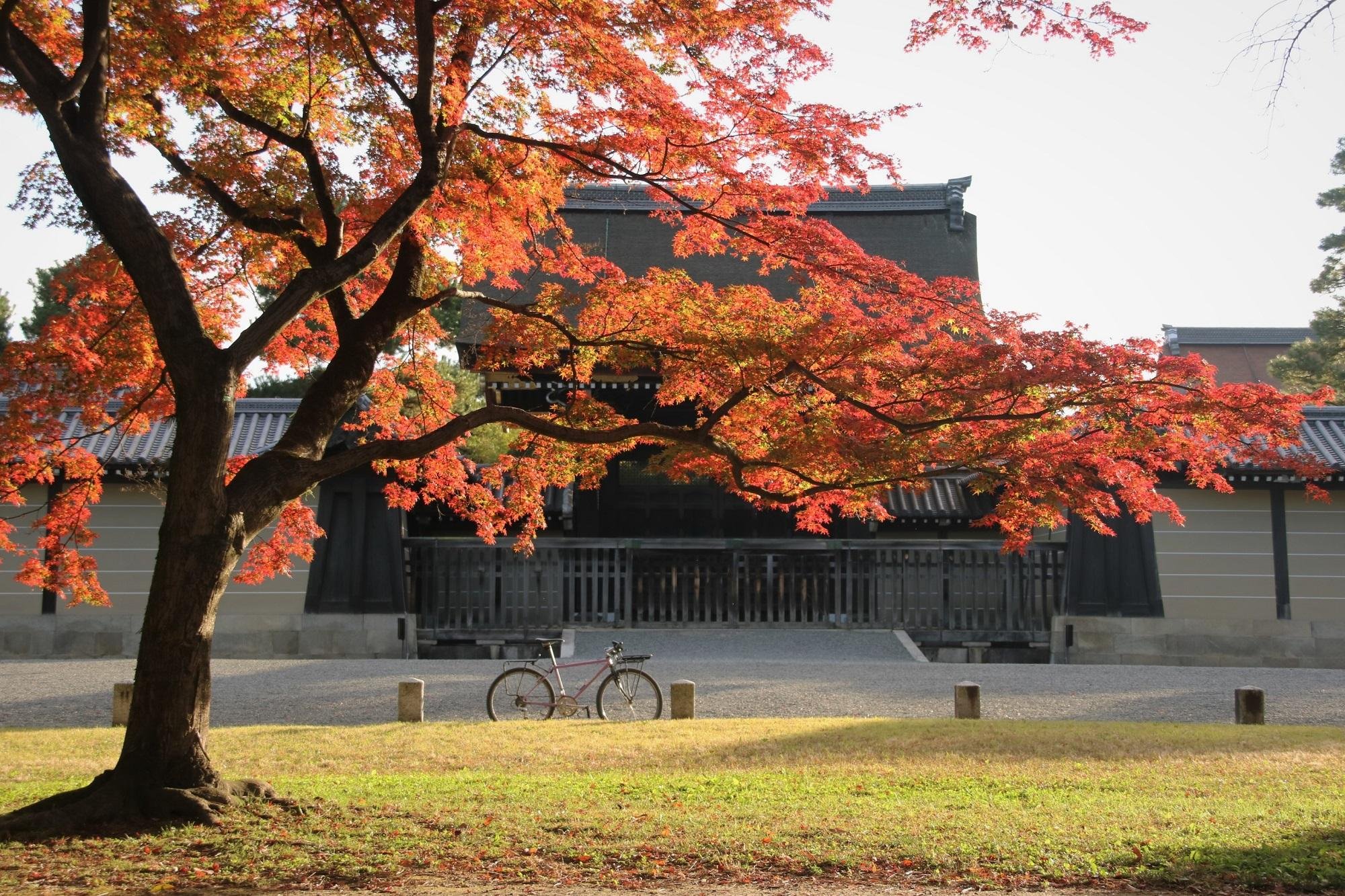 Kyoto Imperial Palace & Nijo Castle Walking Tour