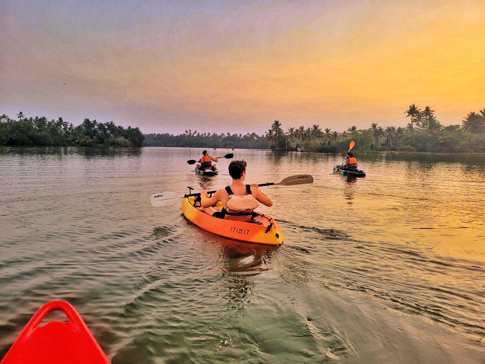 Alleppey Backwaters: Kayak, Shikkara, and Traditional Lunch