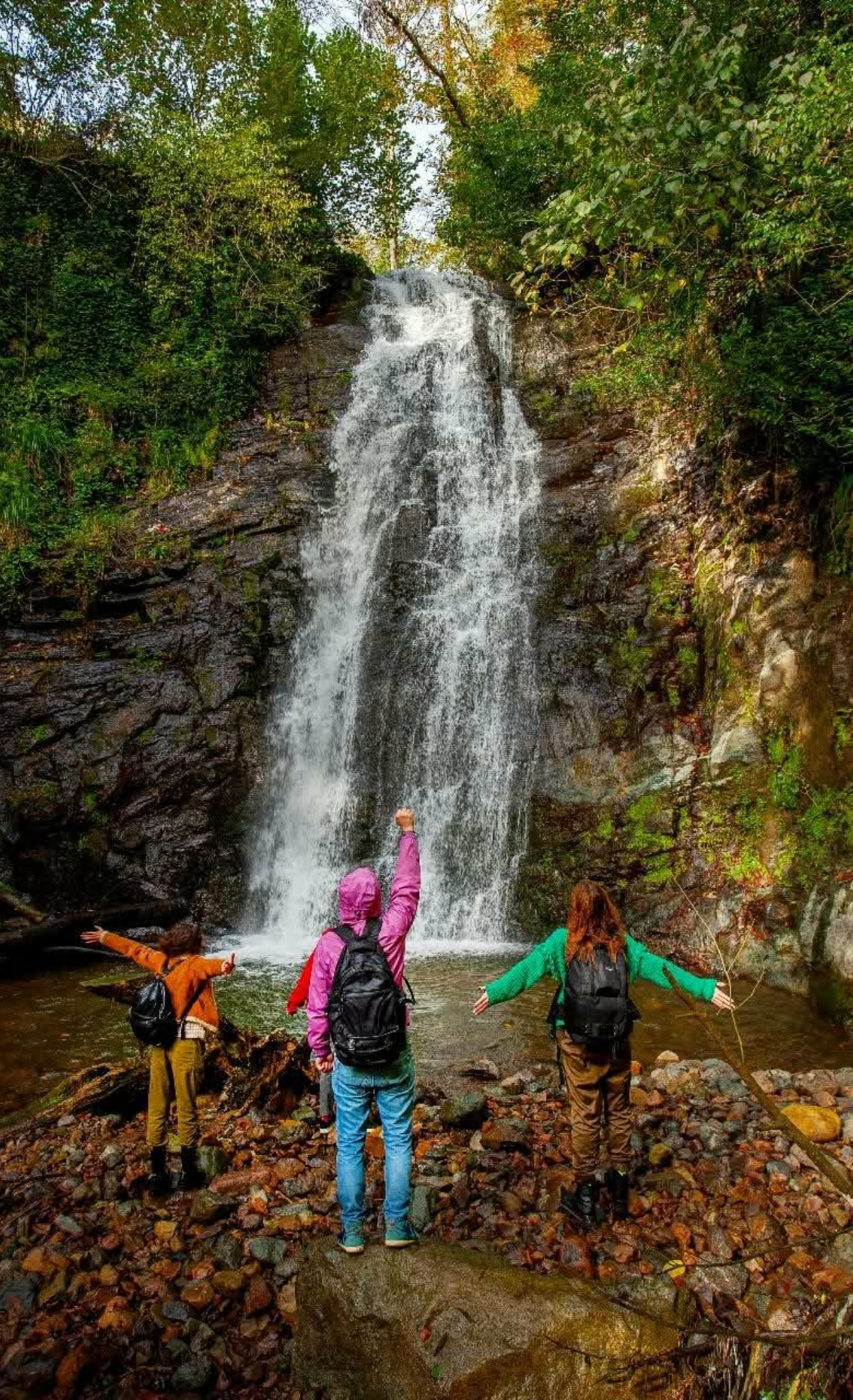 Batumi Half-Day Waterfall Tour with Adventure Activities