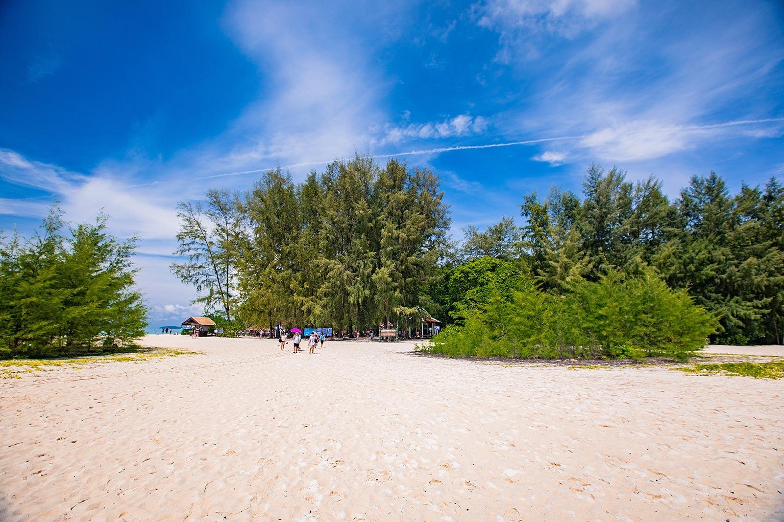 Private Longtail Boat Expedition: Phi Phi & Bamboo Islands