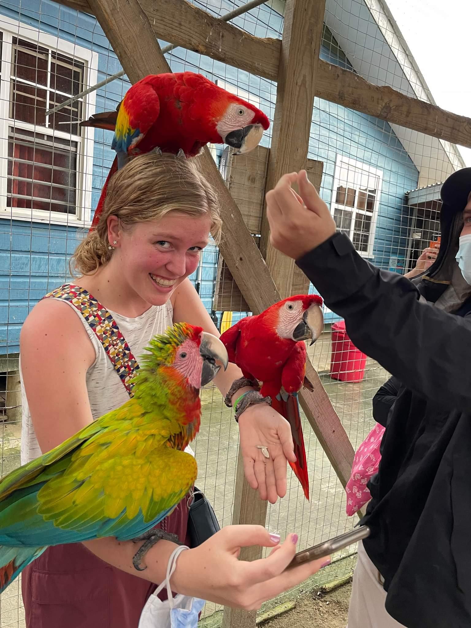 Roatan Wildlife Sanctuary & Island Cultural Tour