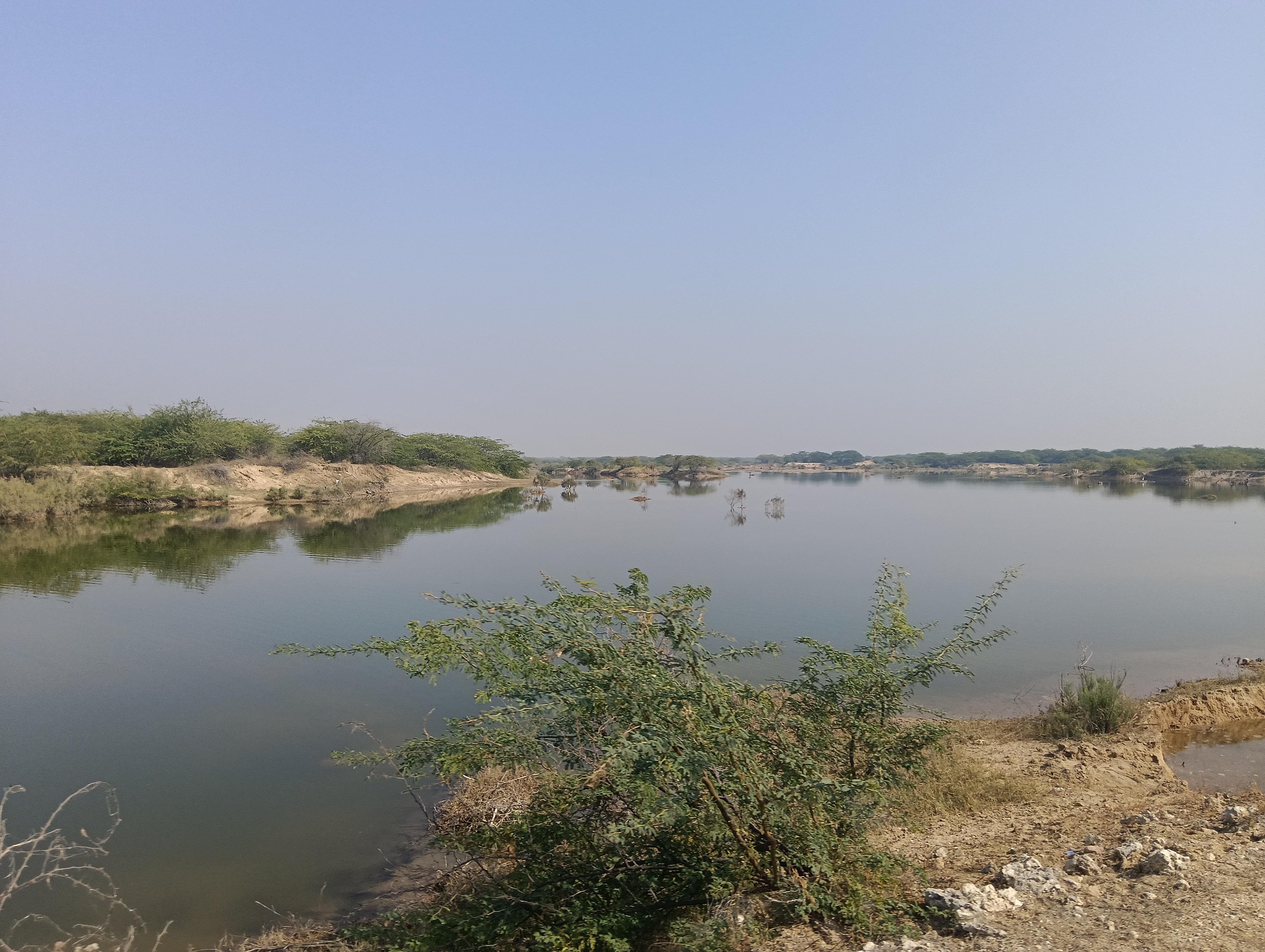 Bishnoi Village Cultural Jeep Safari