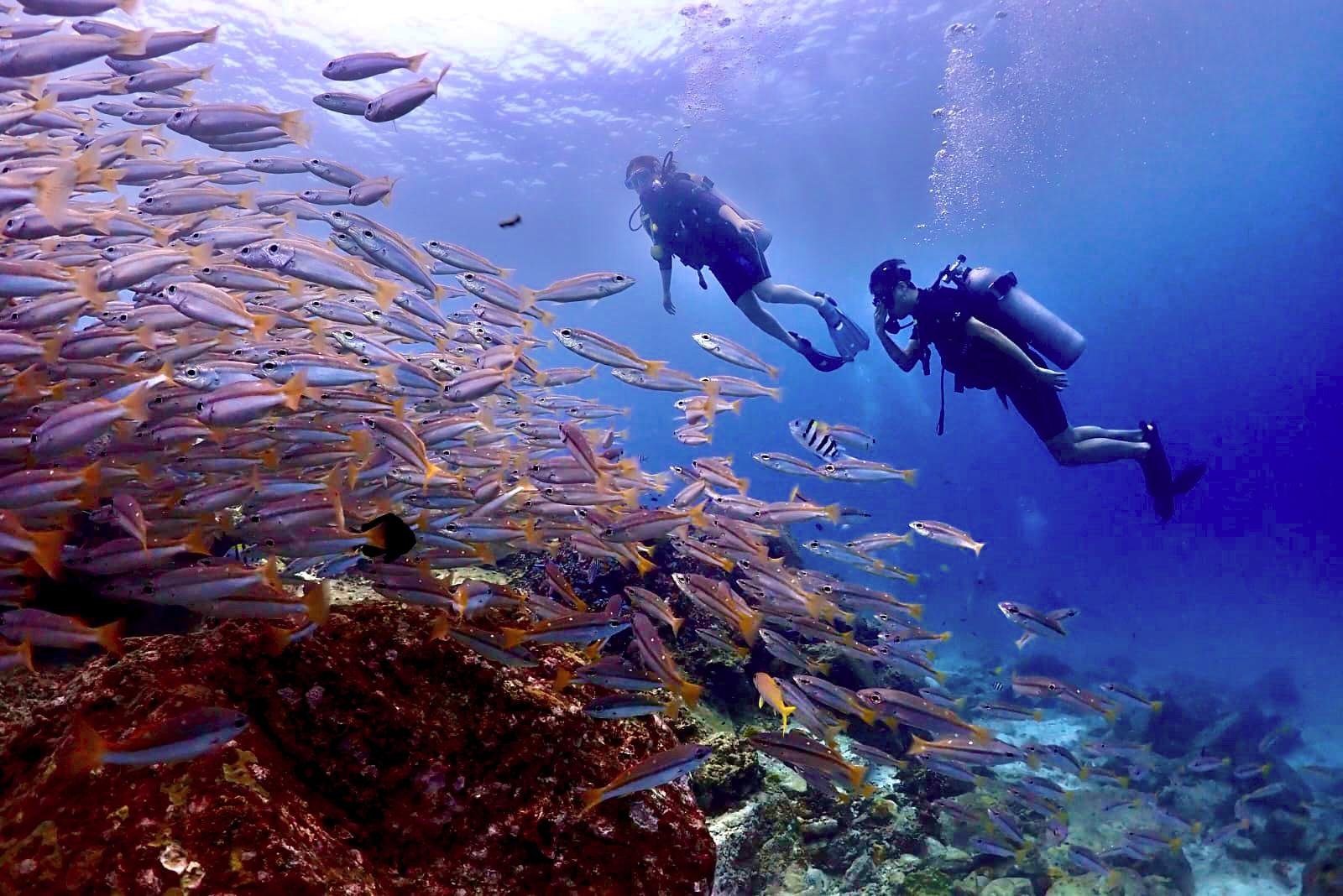 Phuket: Racha & Maiton Islands Scuba Diving for All Levels