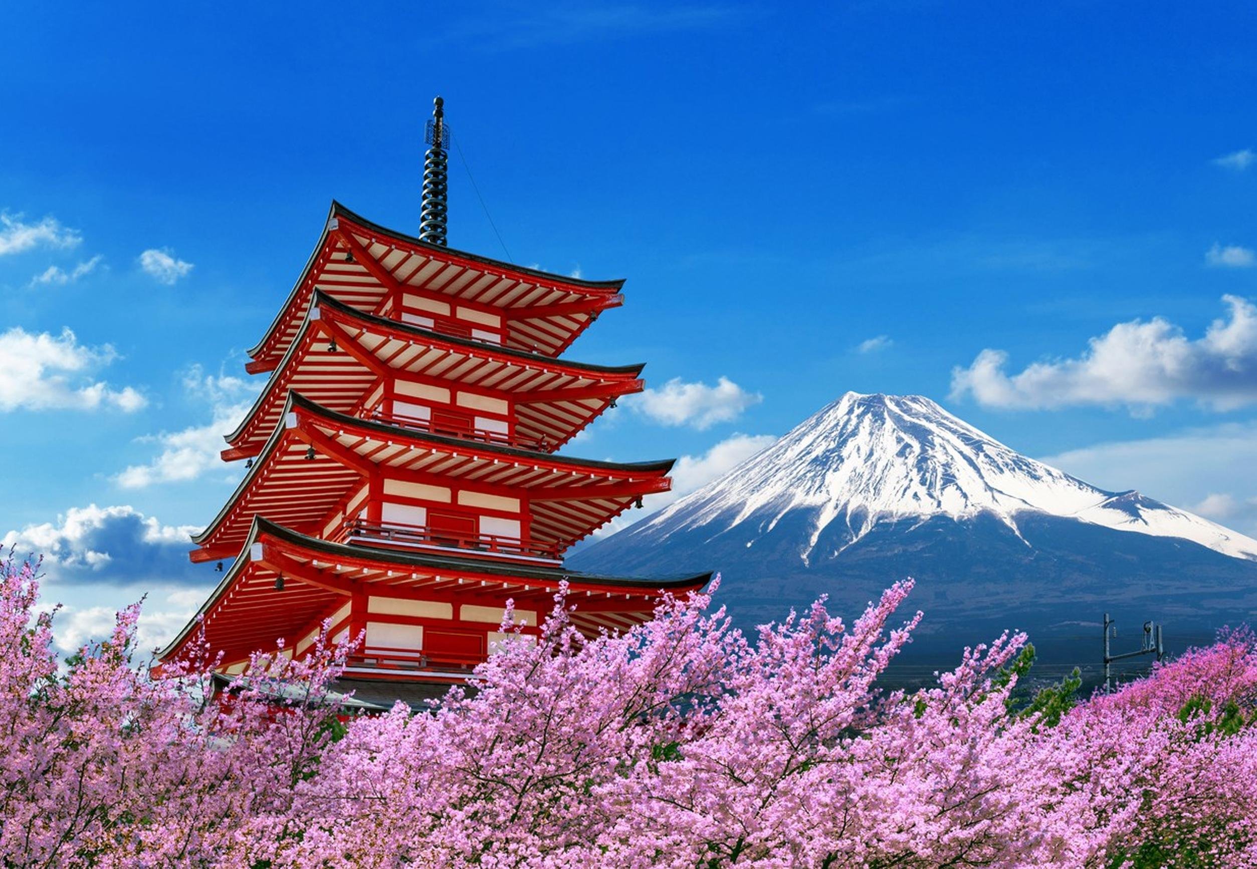 Mount Fuji & Hakone Day Adventure