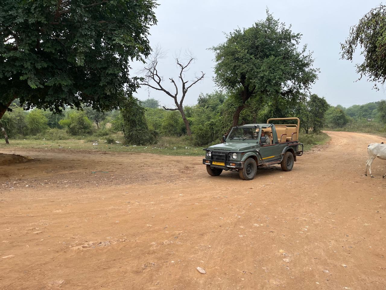 2-Day Ranthambore Tiger Safari from Delhi