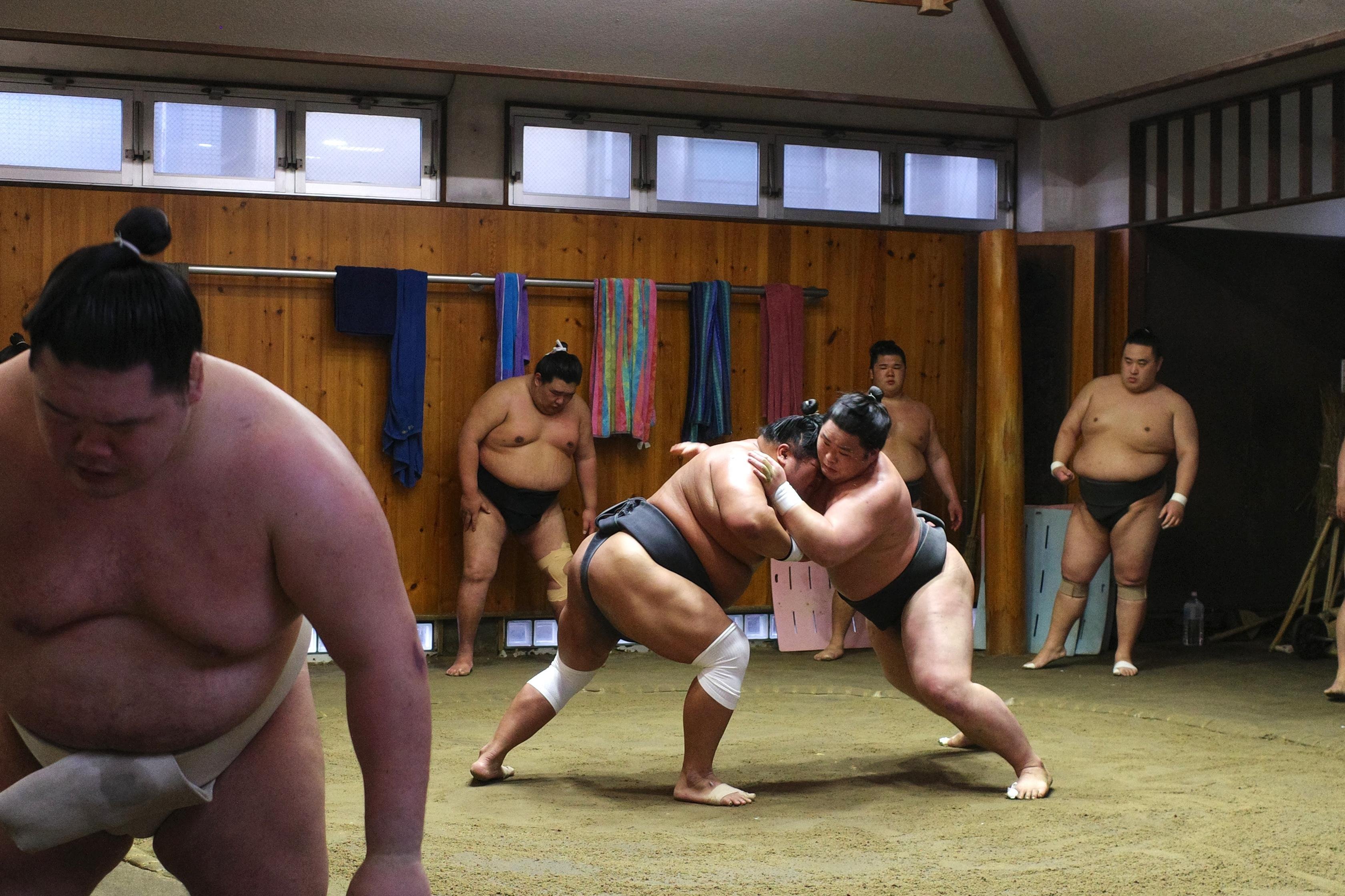 Sumo Morning Practice Observation with Chair Seating