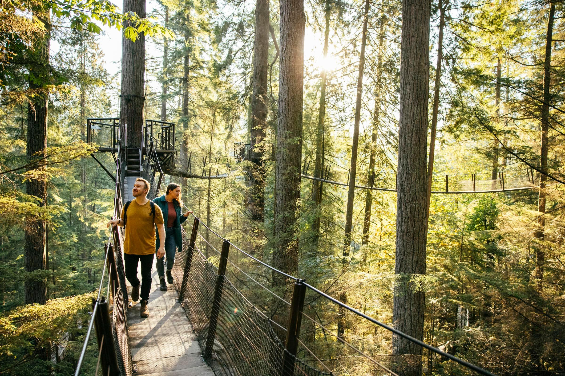 Vancouver North Shore & Capilano Canyon Lights Explorer