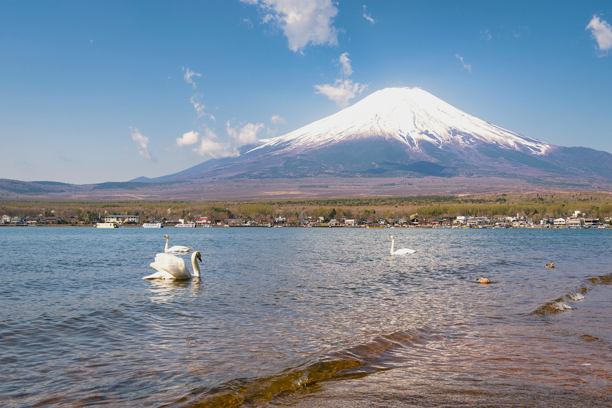 Mt. Fuji & Lake Kawaguchi Small Group Day Trip