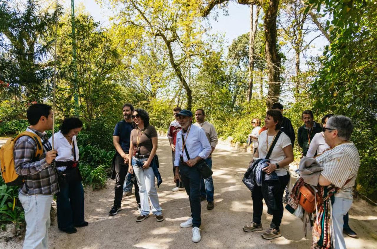 Lisbon to Sintra, Pena Palace, Regaleira, Cabo da Roca & Cascais Day Tour