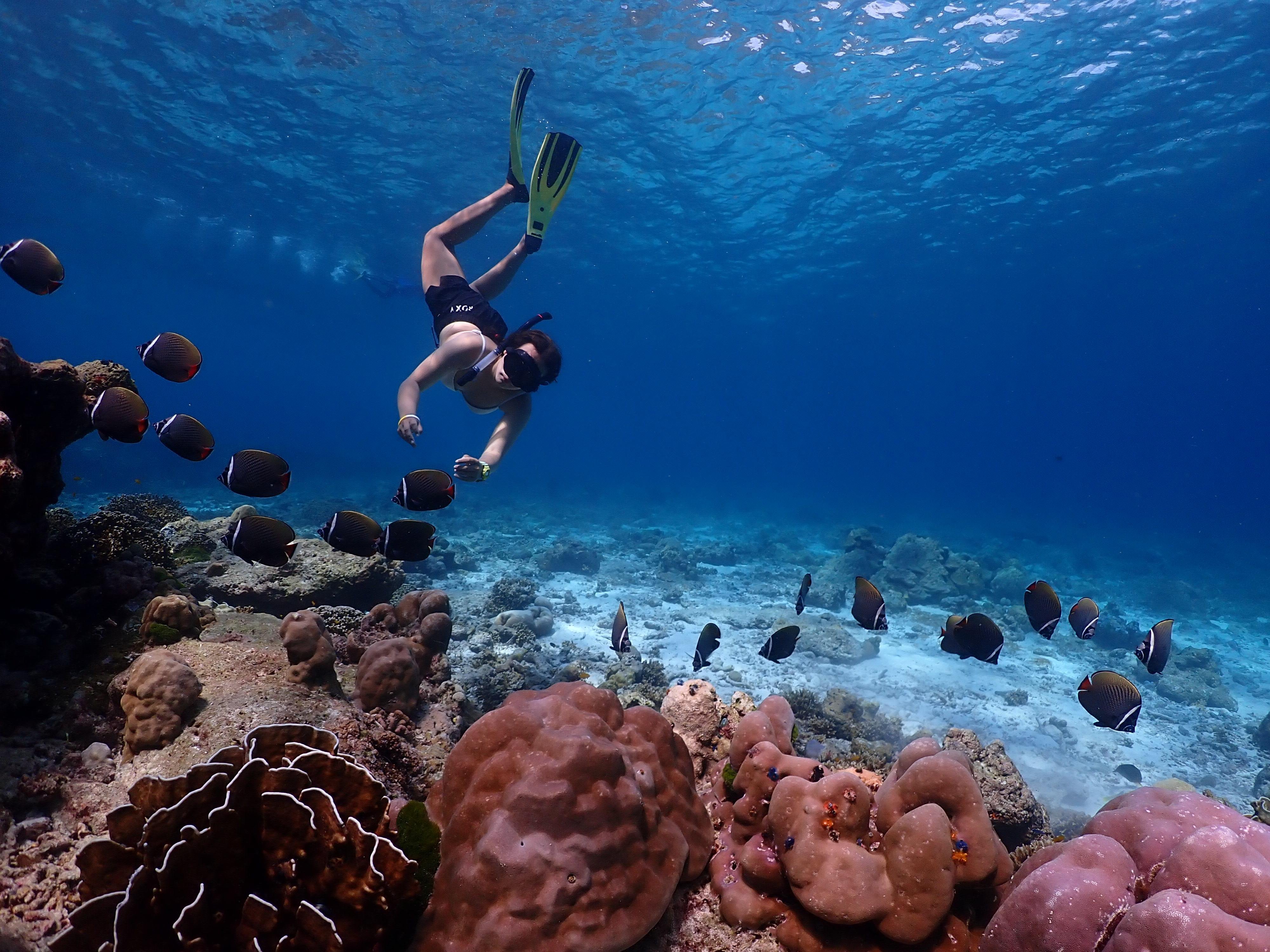 Similan Islands Full-Day Snorkeling Adventure by Speedboat from Phuket