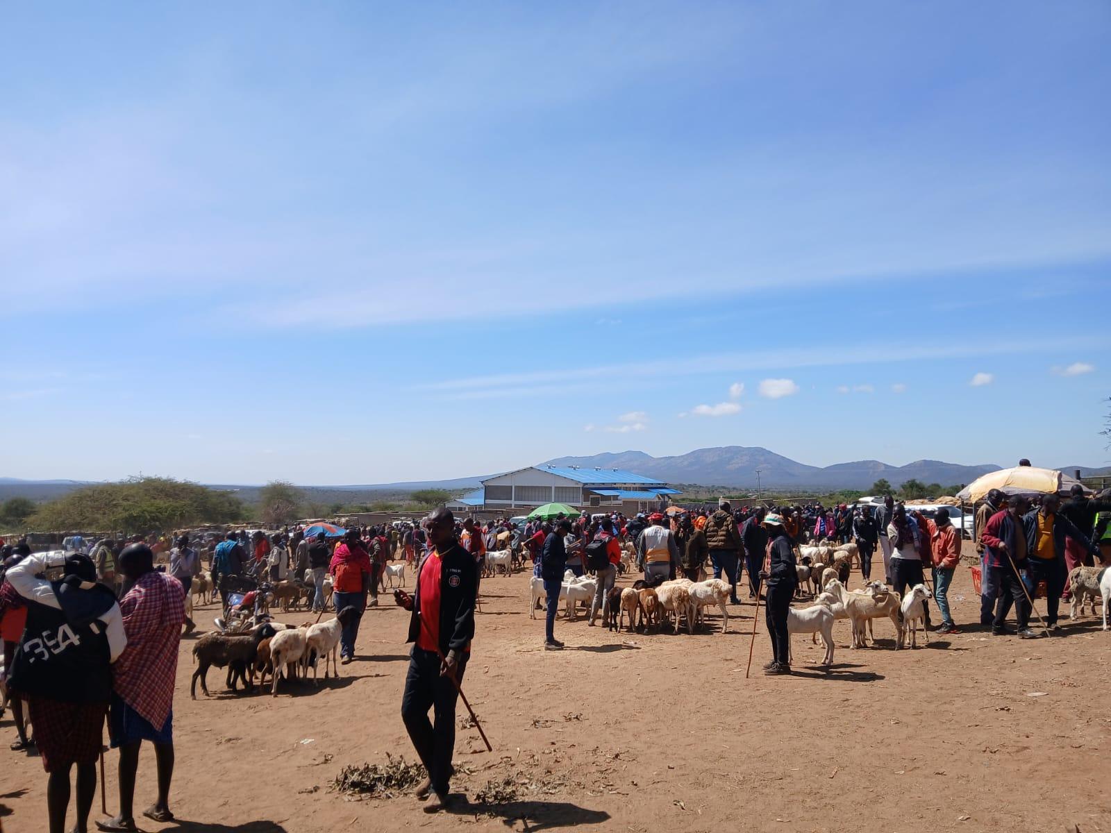 Authentic Maasai Village Day Tour from Nairobi
