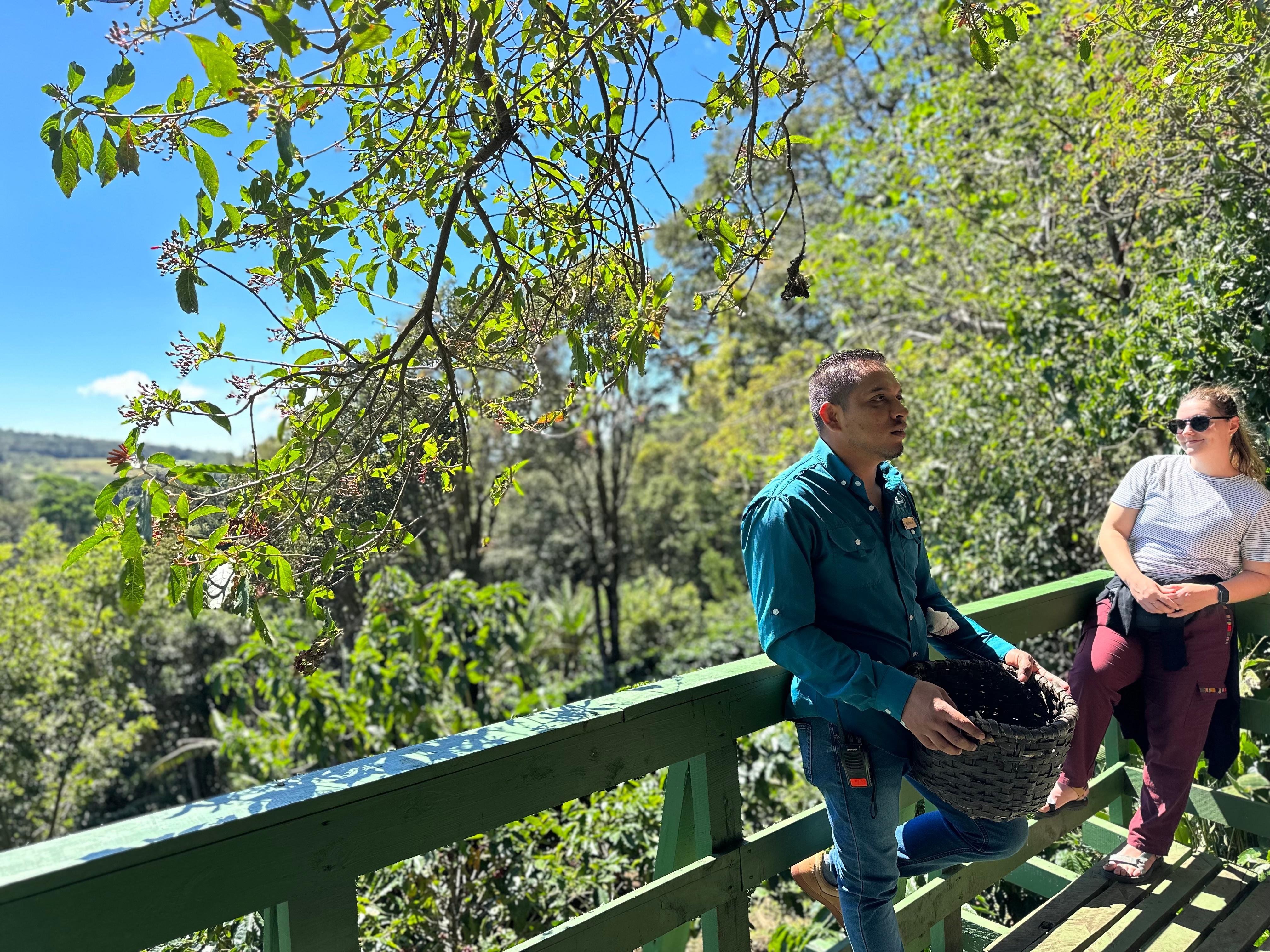 Monteverde Coffee Farm & Roastery Tour with Tasting