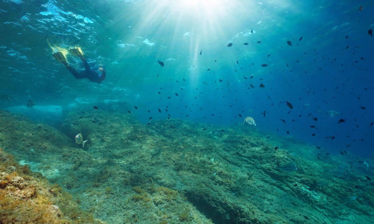 Eco-Friendly Snorkeling Adventure in Villefranche-sur-Mer