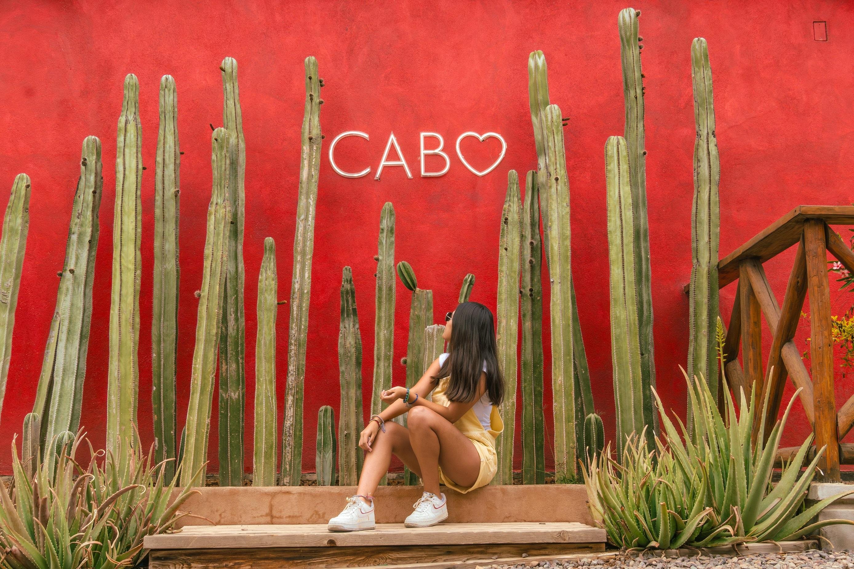 Cabo San Lucas Camel Safari with Lunch & Tequila Tasting