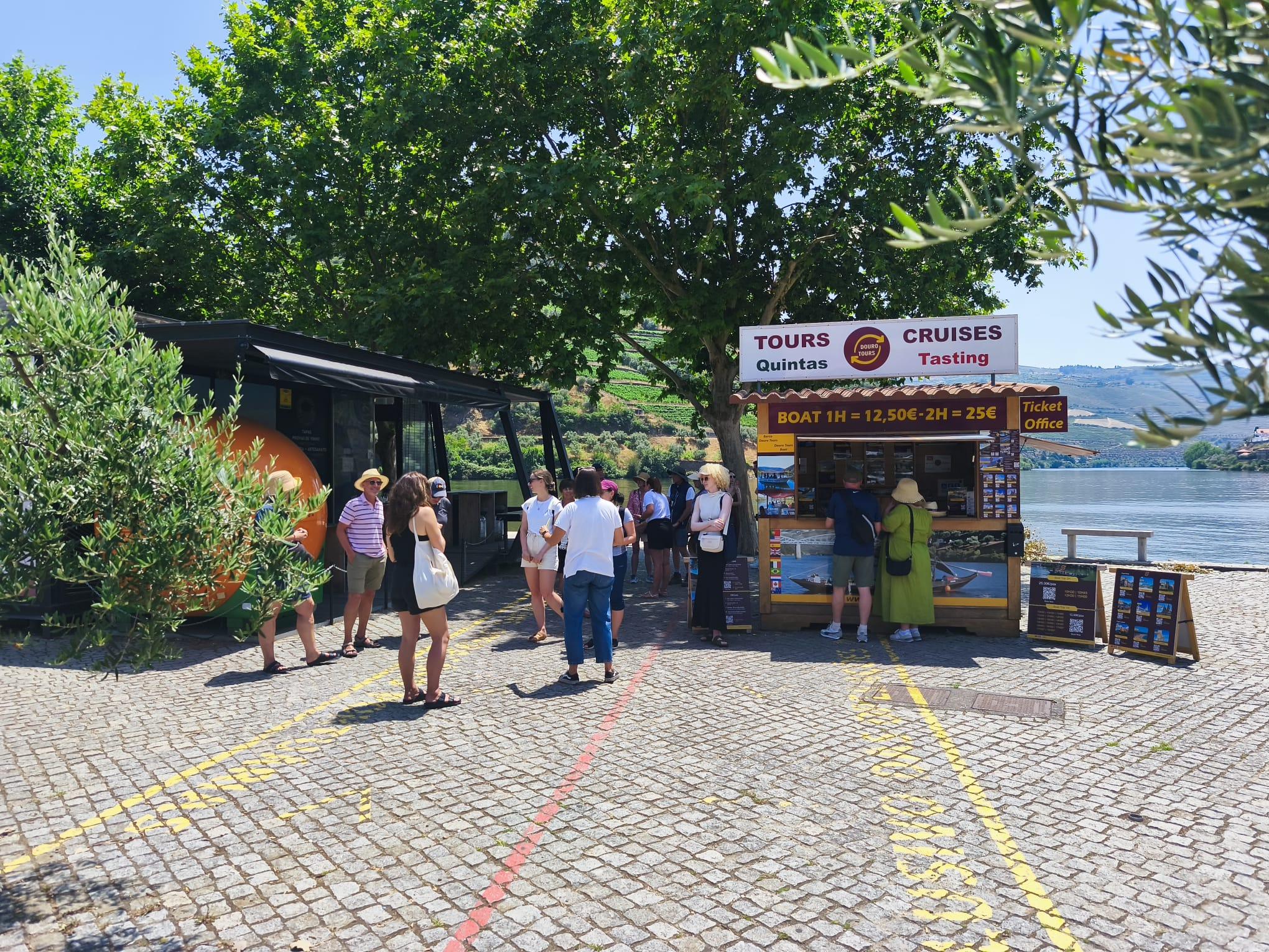 Douro Valley Full-Day Tour: Boat Ride, Twin Winery Tastings & Lunch