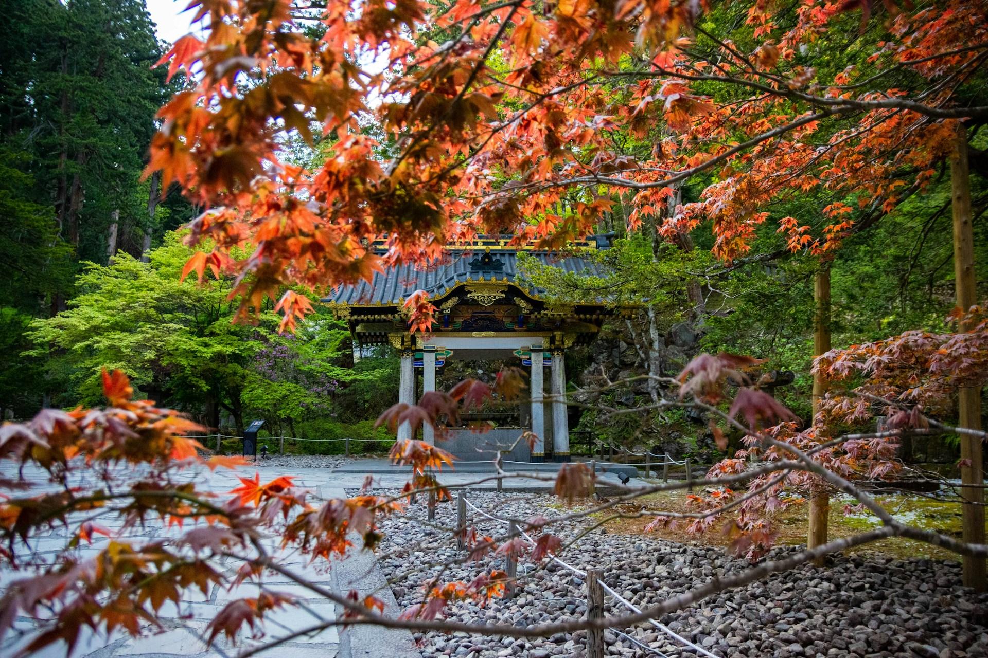 Tokyo to Nikko: Private Luxury Day Trip to UNESCO World Heritage Sites