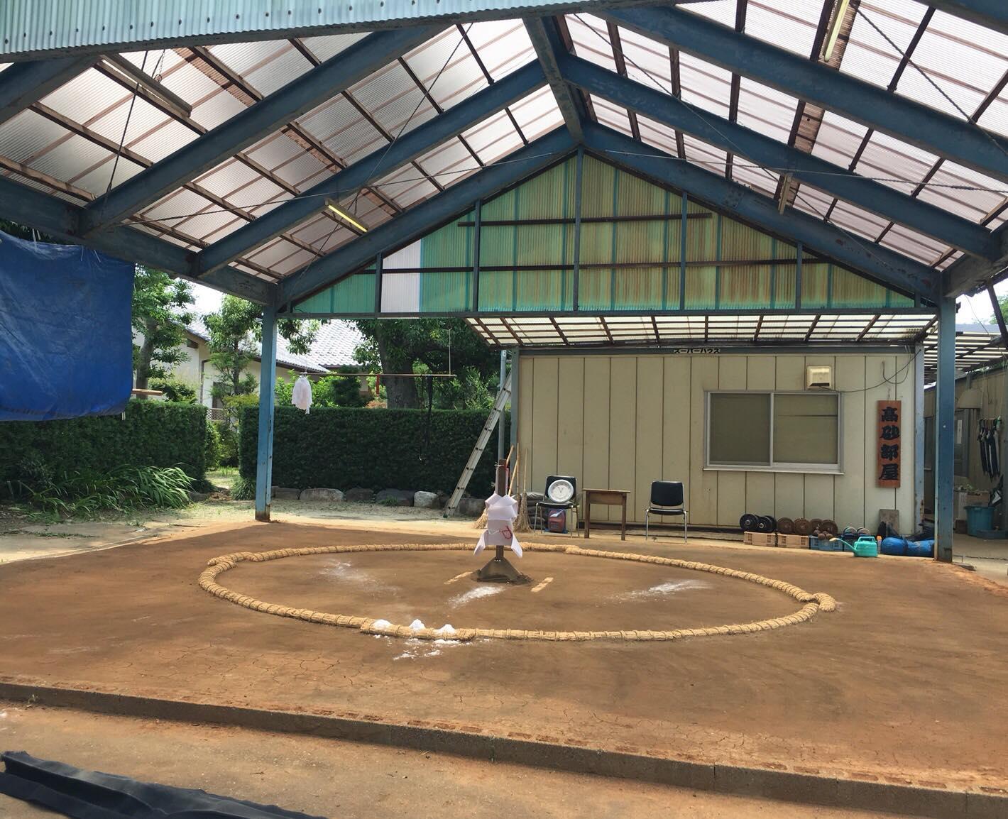 Nagoya: Visit Sumo Morning Practice with English Guide