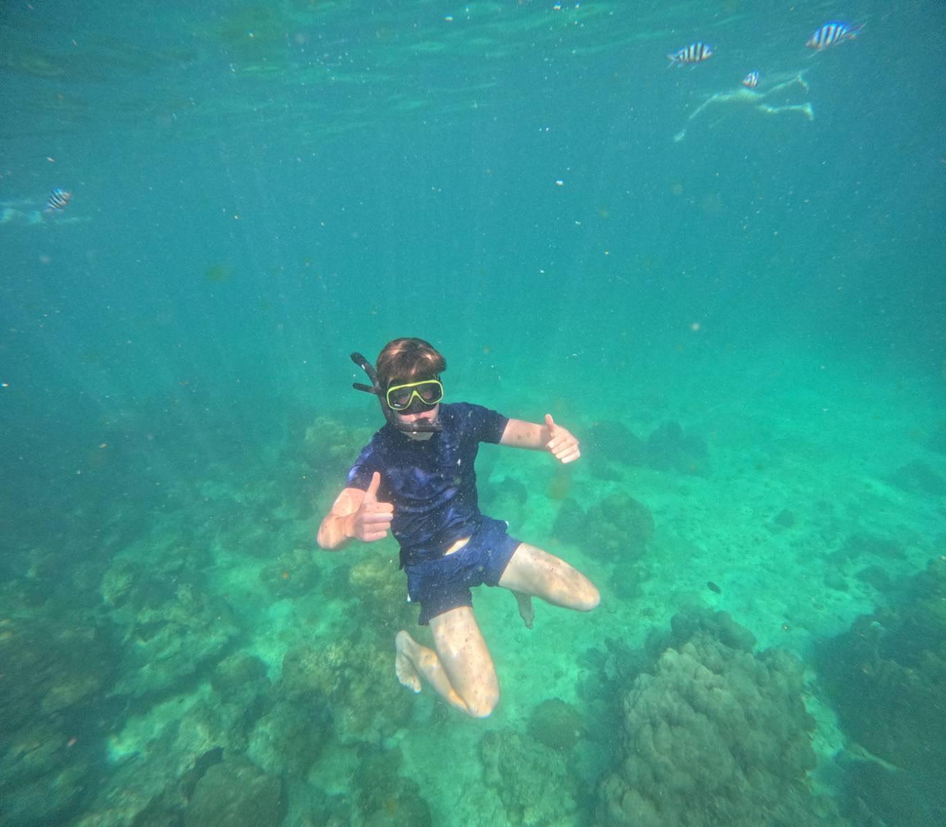 Pig Island & Koh Tan Snorkeling Express