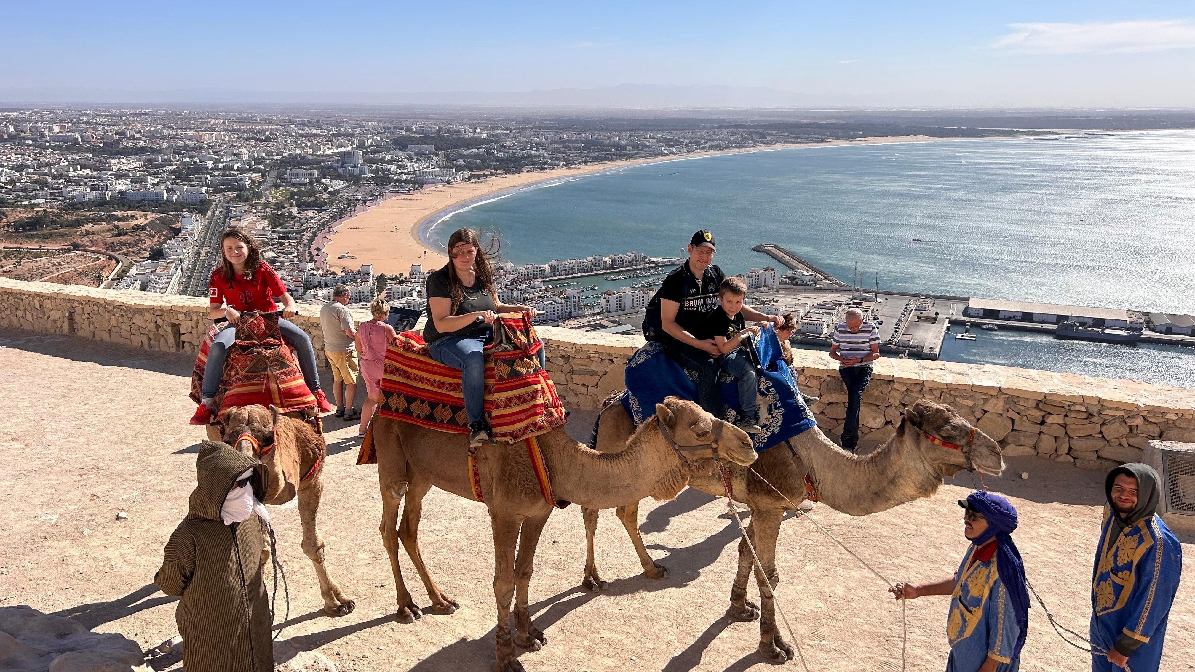 Agadir City Highlights: Kasbah, Souk & Marina Tour