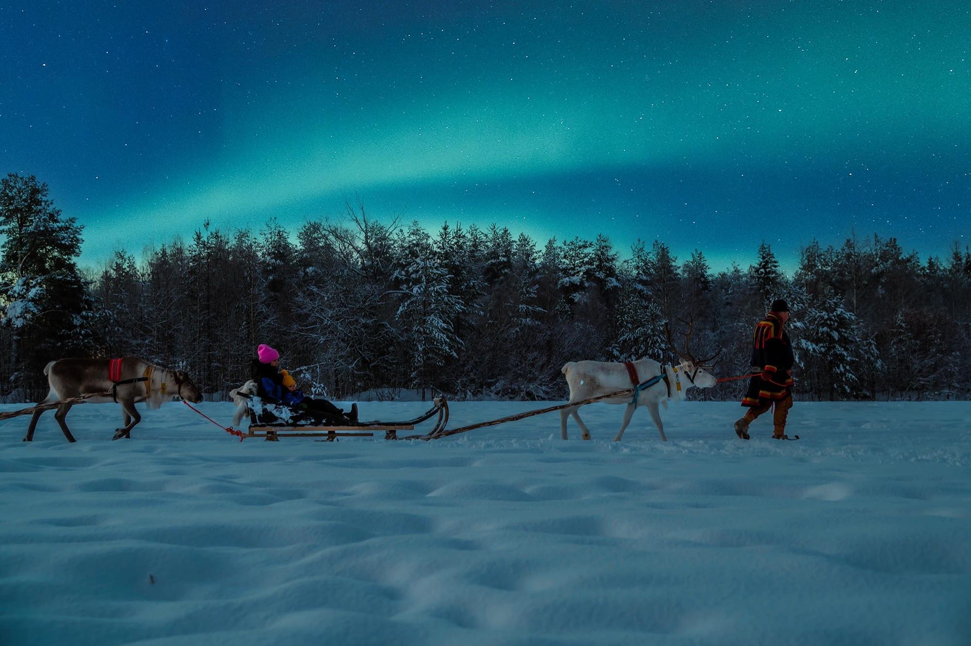 Apukka Night Reindeer Sleigh Ride, Rovaniemi