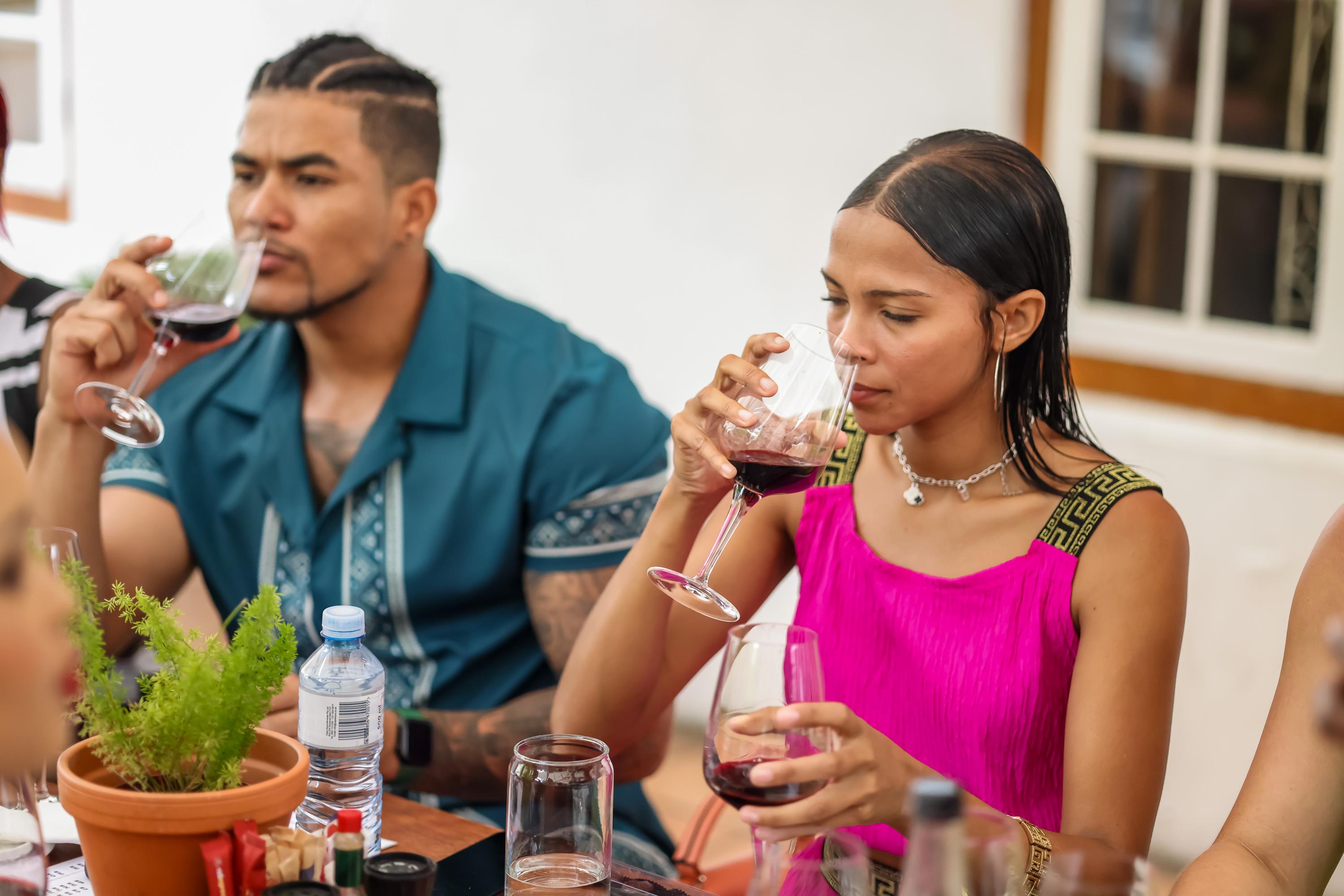 Cape Town Full-Day Wine Tasting & Wine Tram Tour