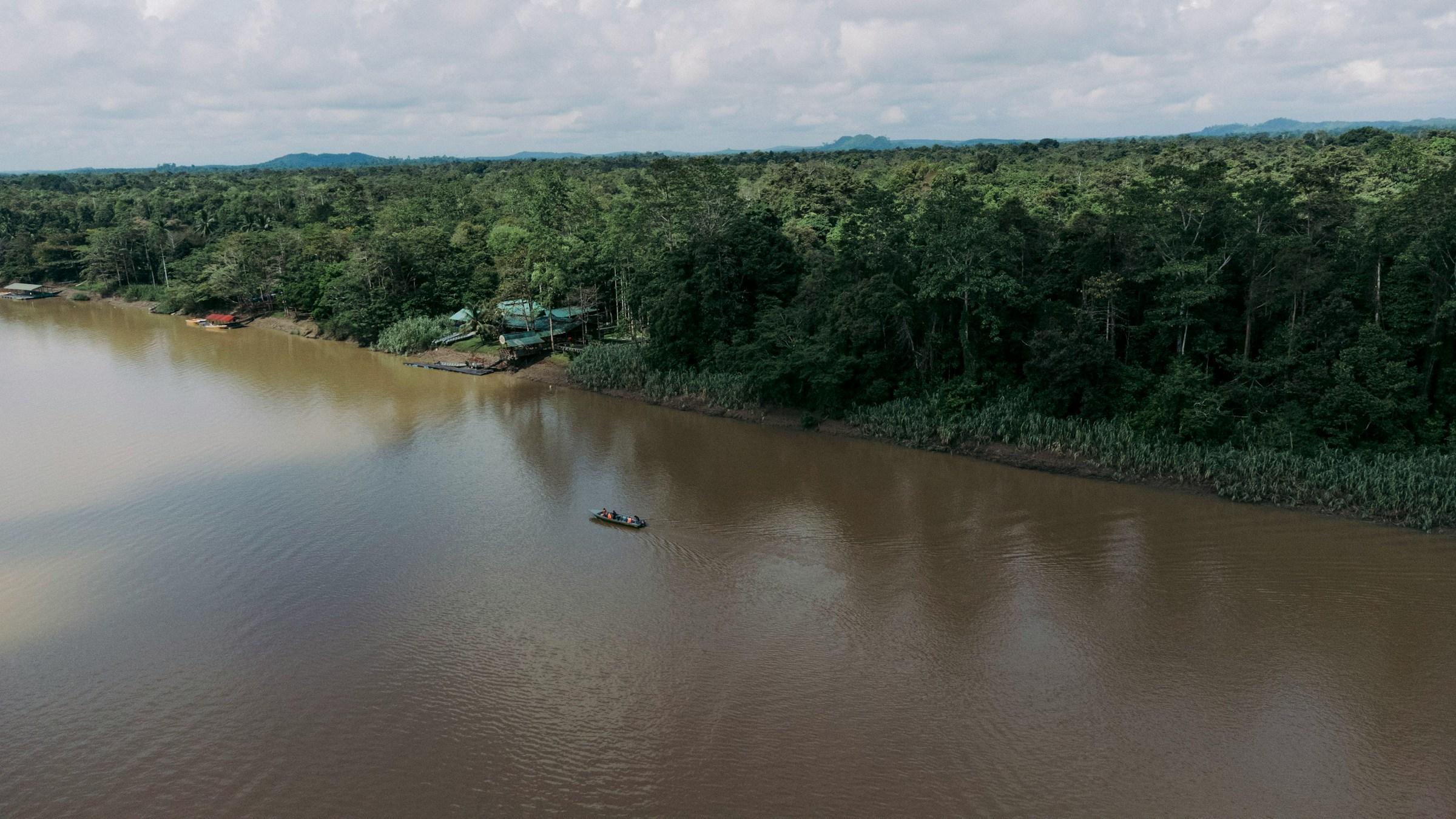 Kinabatangan River Wildlife Cruise