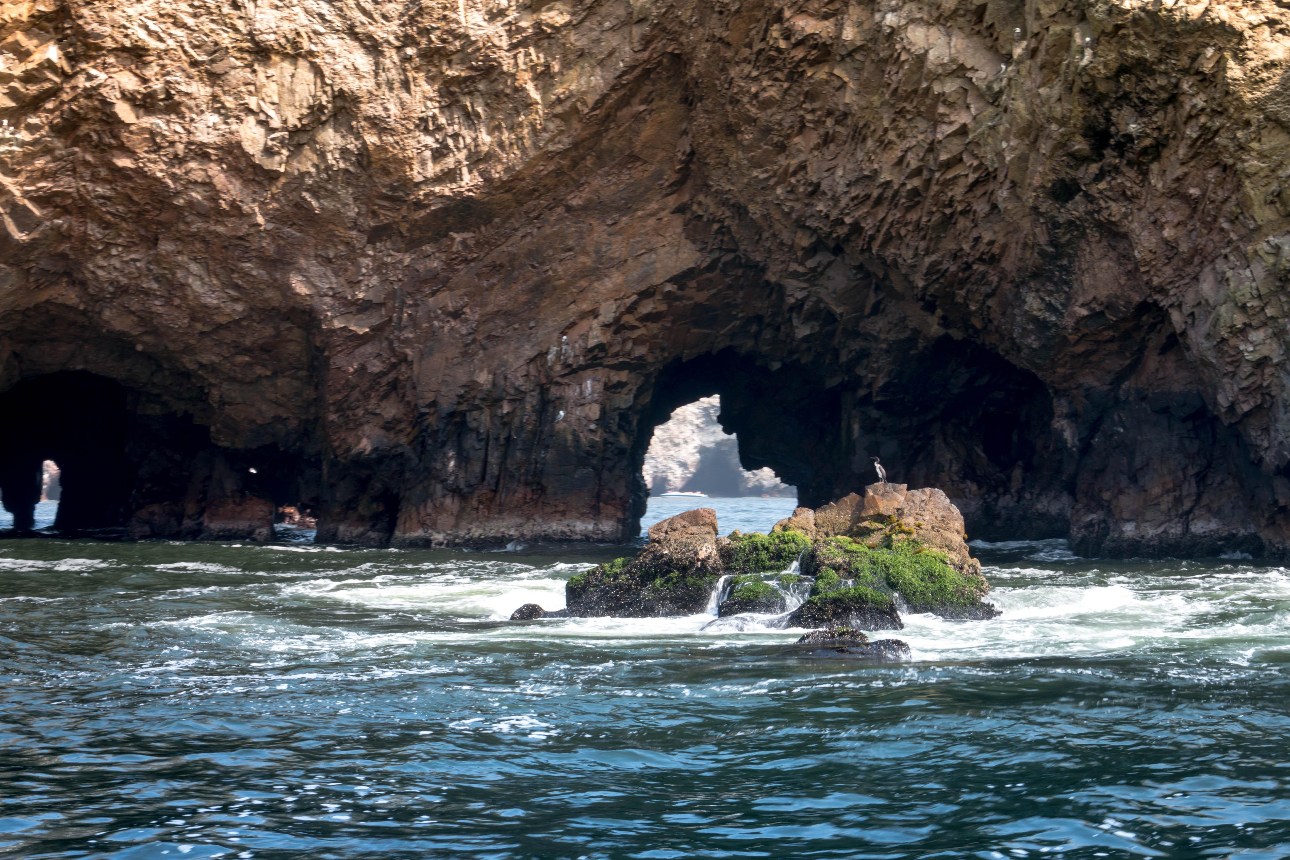 Tour de un día desde Lima a Paracas, Huacachina y el oasis del desierto de Ica
