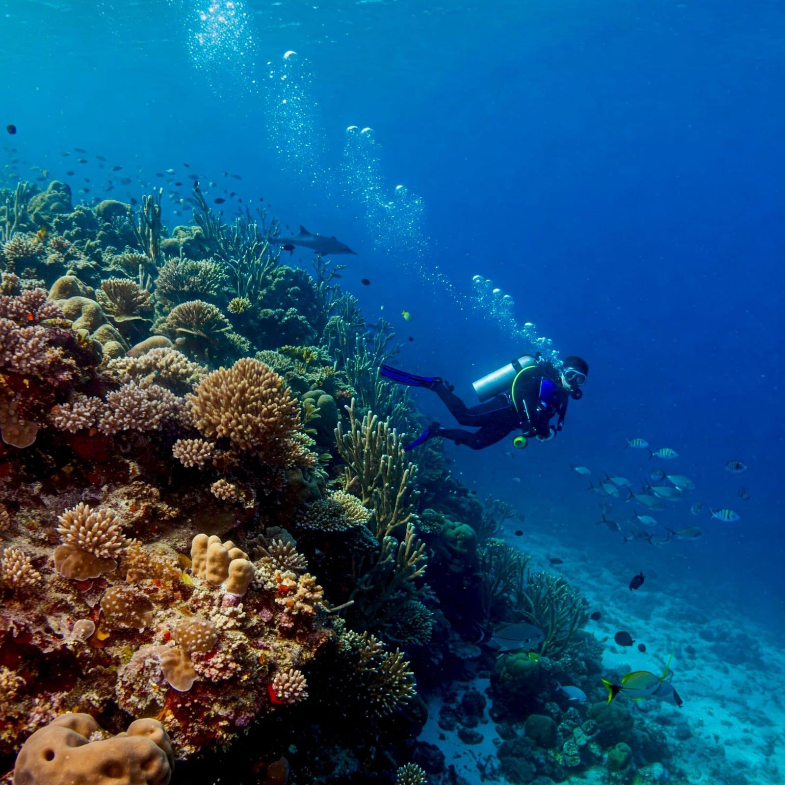 Phuket: Racha & Maiton Islands Scuba Diving for All Levels