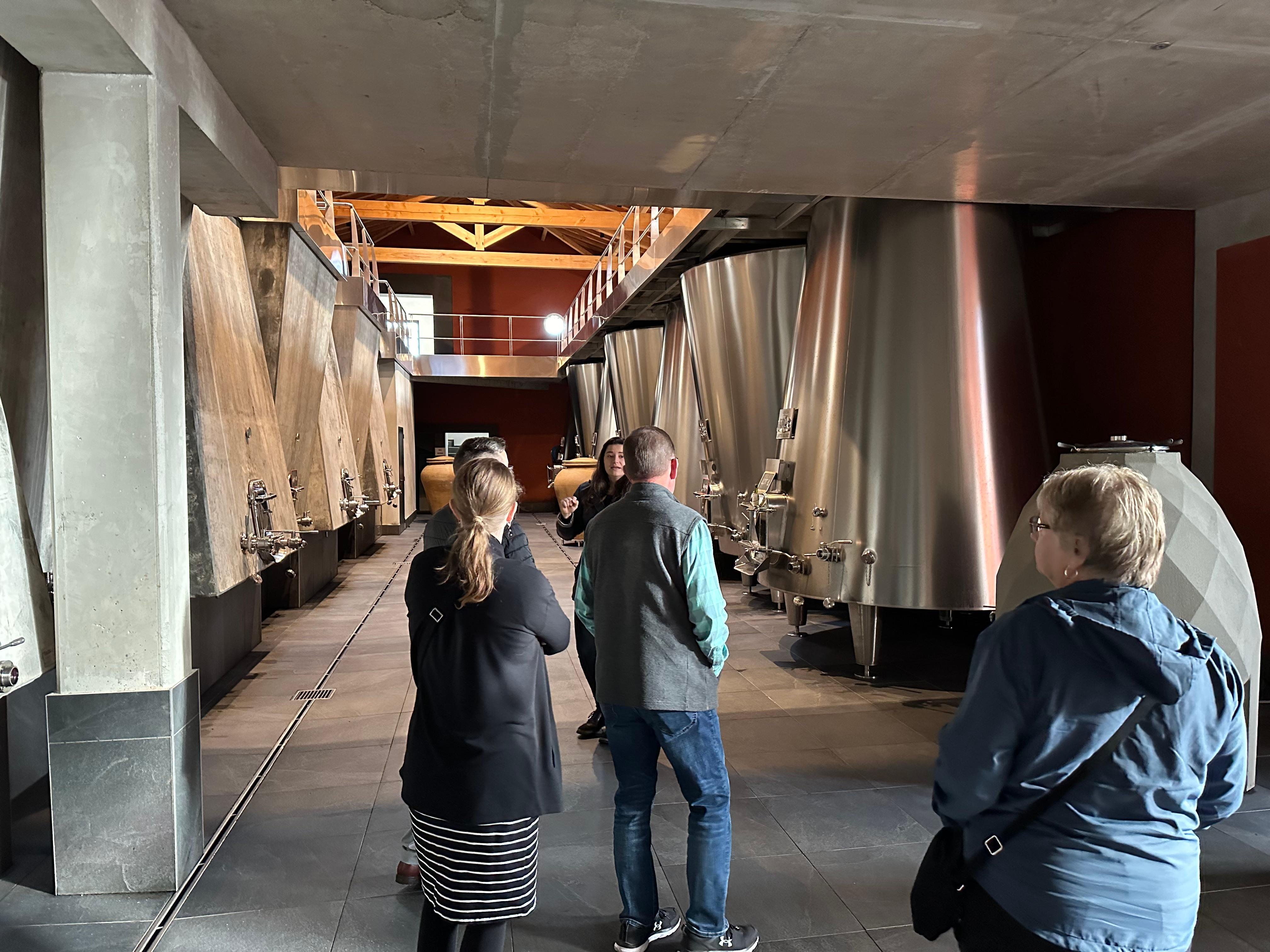 Médoc Wine Discovery: Full-Day Private Group Experience