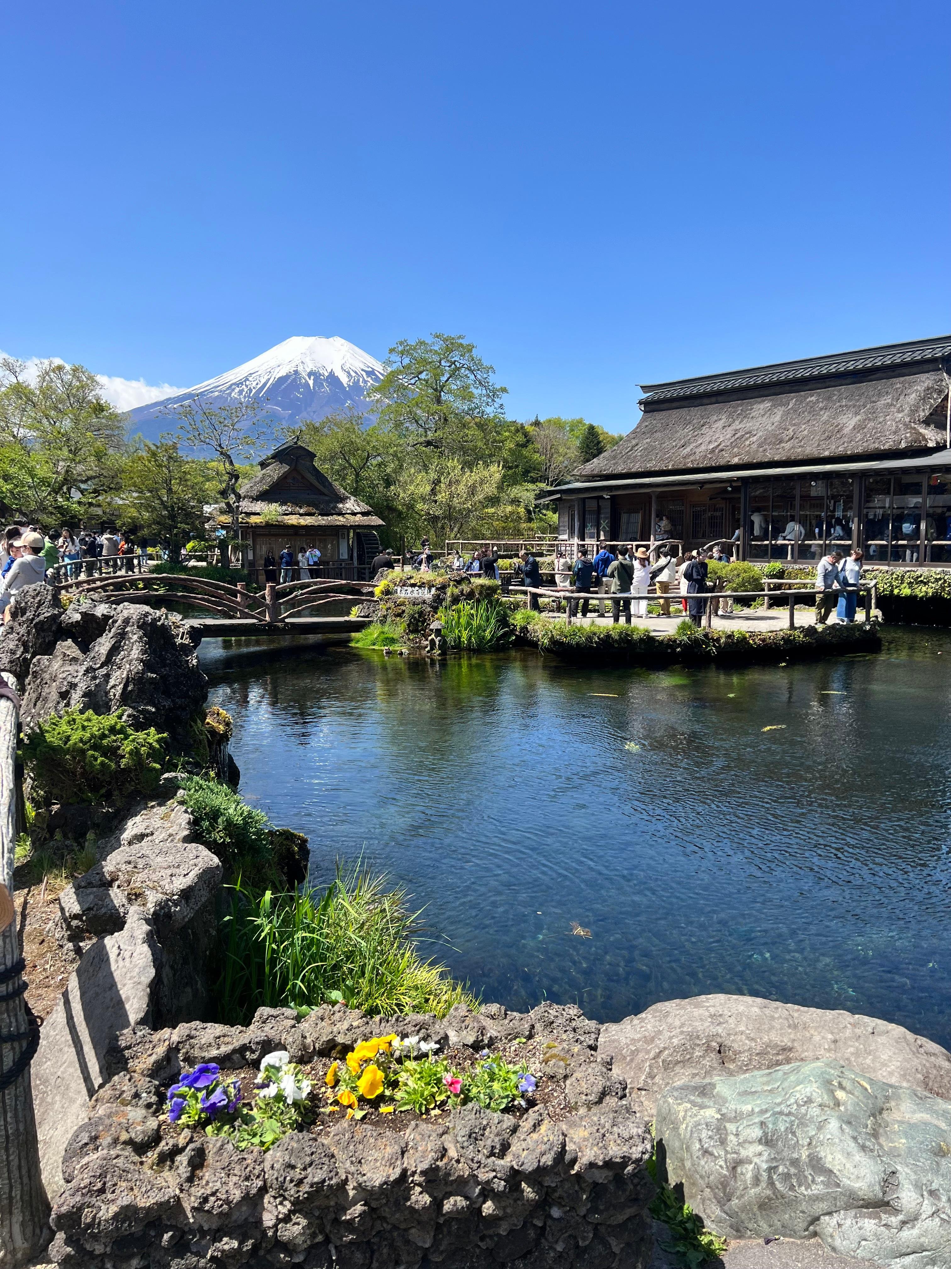 Mount Fuji & Hakone Private Full-Day Tour from Tokyo