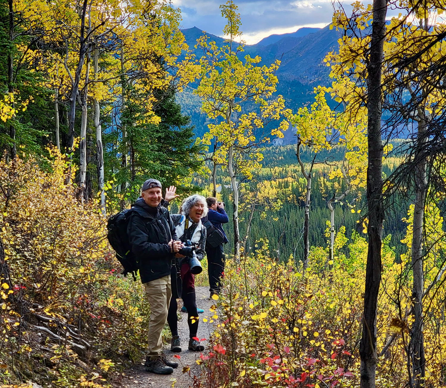 Denali National Park Guided Walking Experience