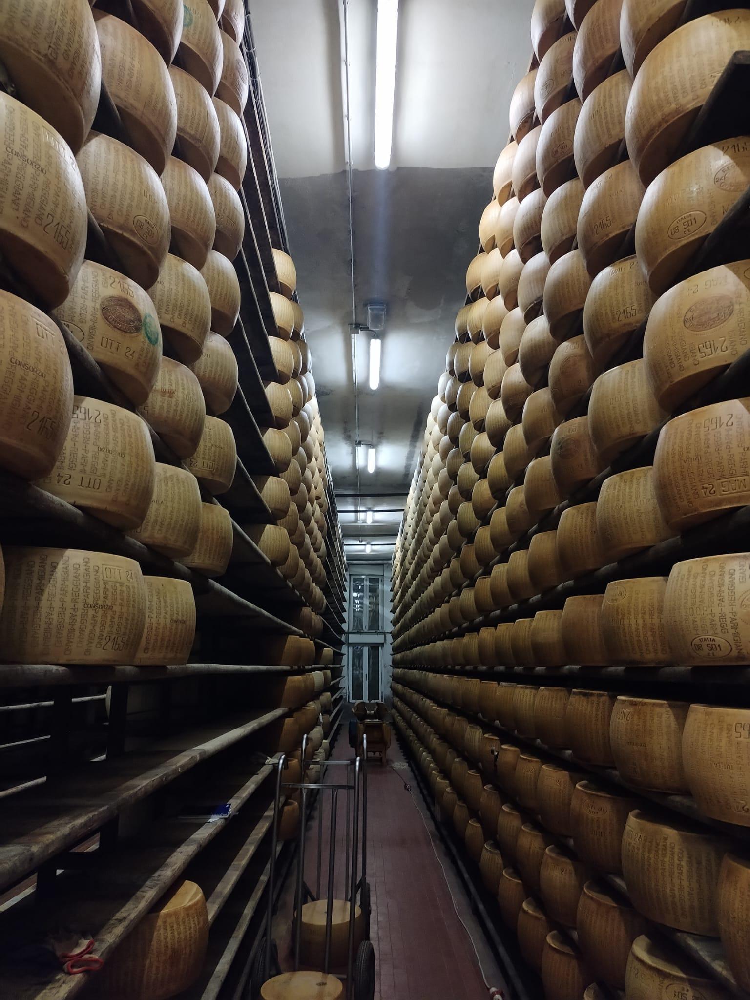 Parmigiano Reggiano Cheesemaking Experience