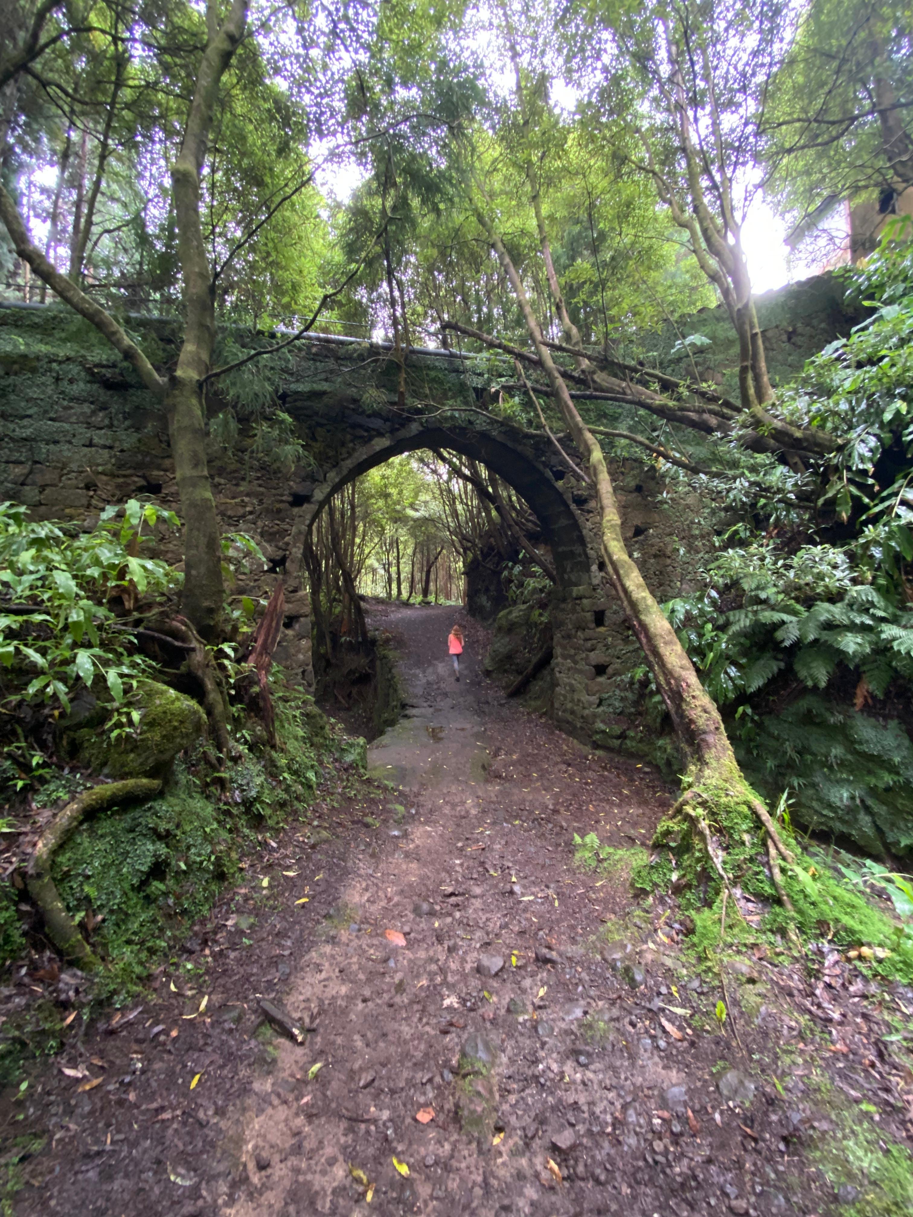 Azores Guided Trek: Janela do Inferno & Caldeira Velha Thermal Springs