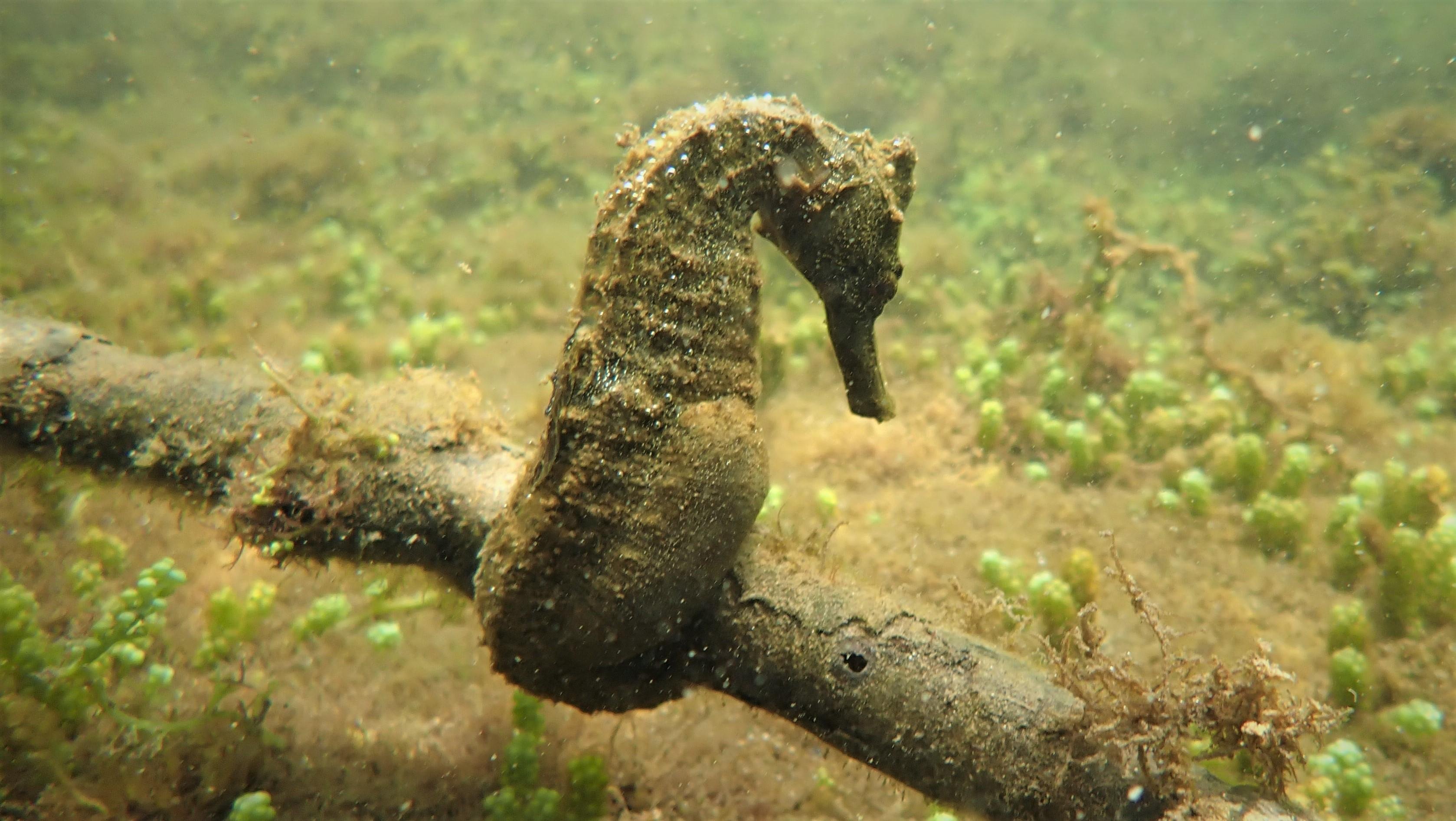 7-Day Galapagos Island Hopping Expedition